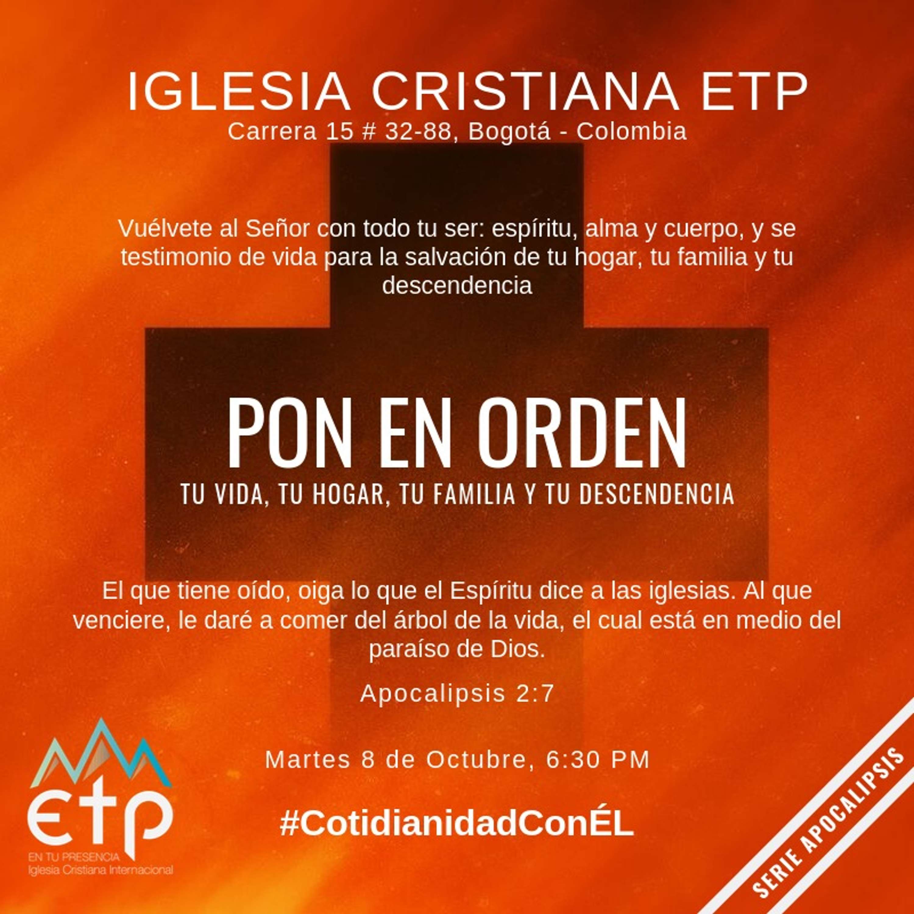Pon en orden tu vida, tu hogar y tu descendencia (Serie Apocalipsis)