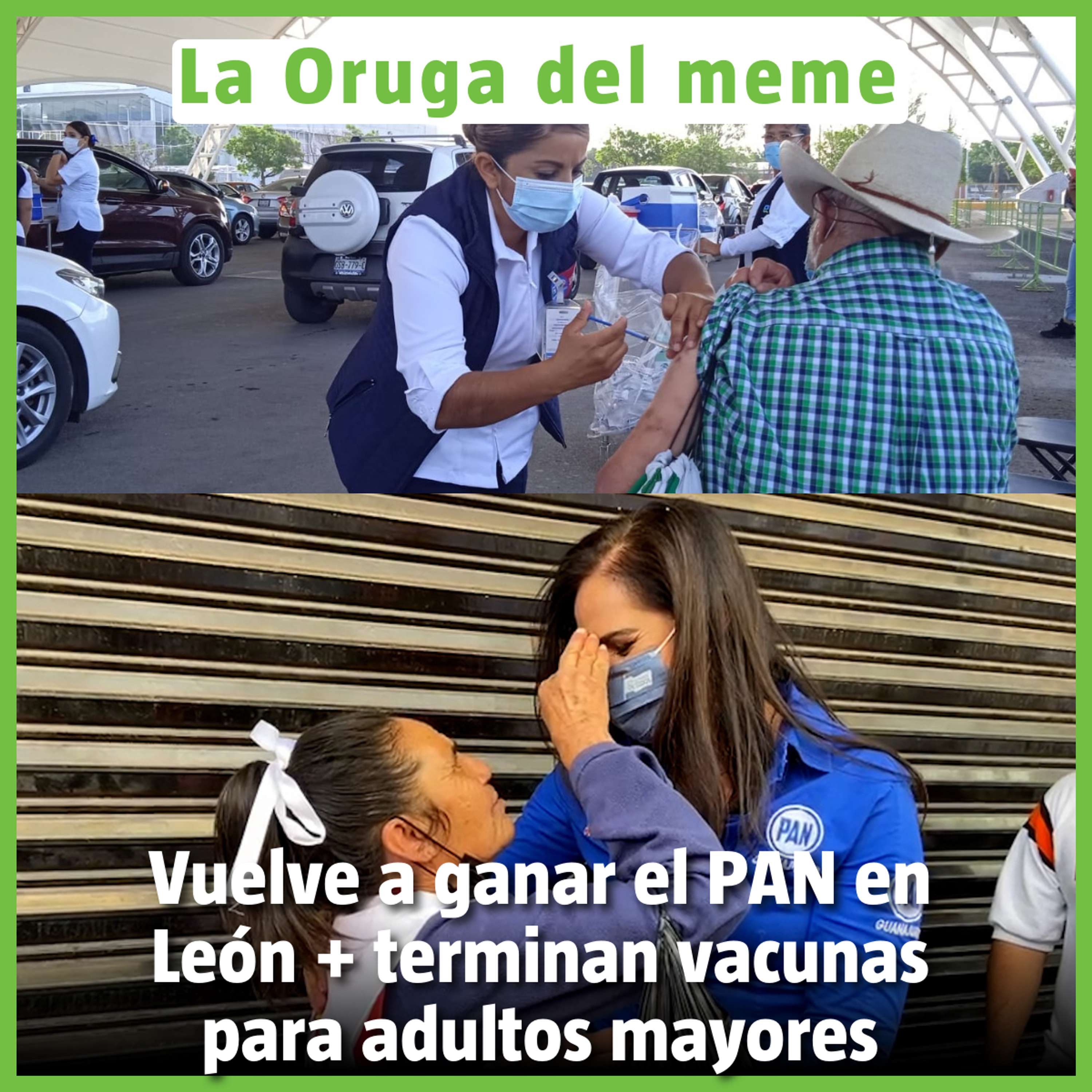 La Oruga del Meme