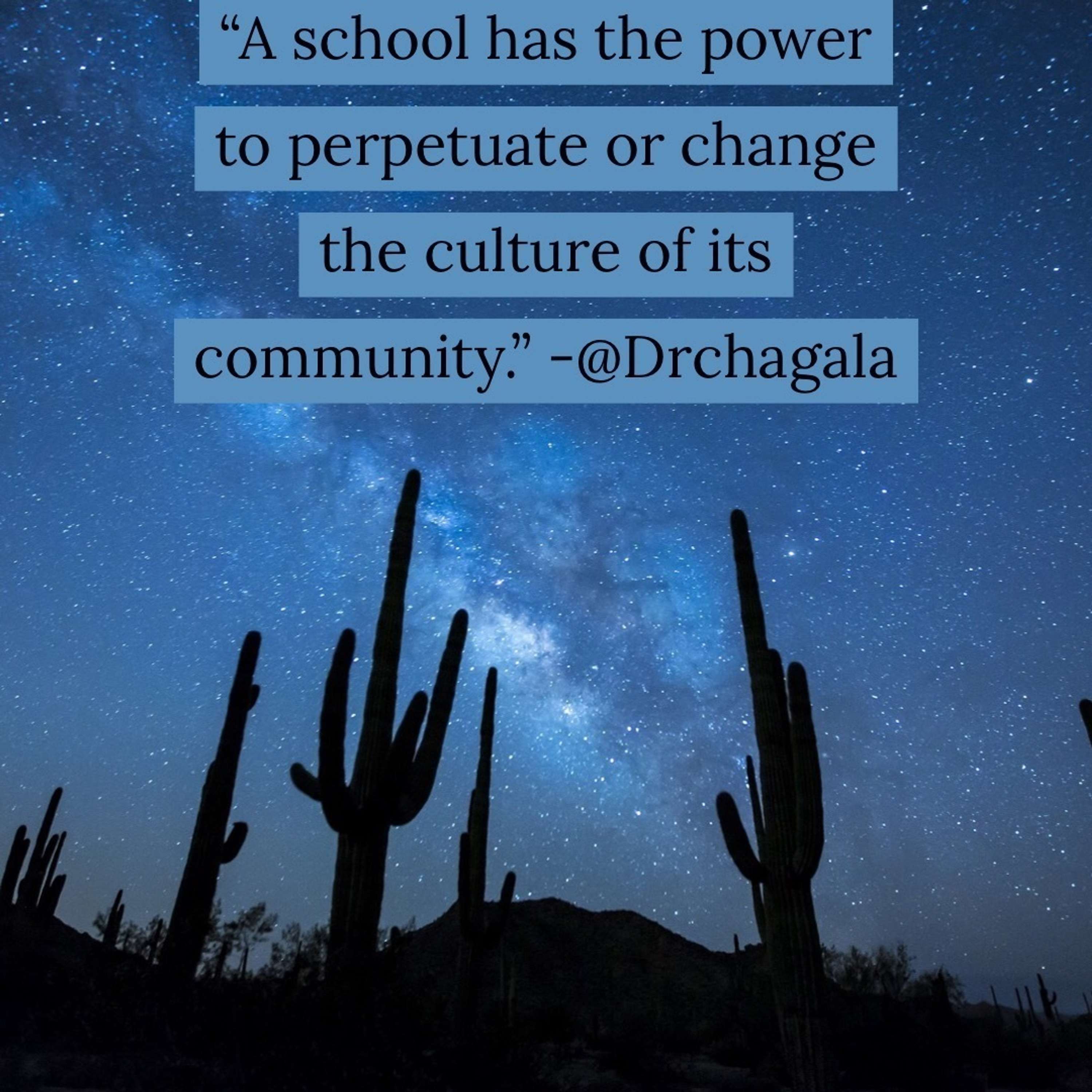 Transformative Principal