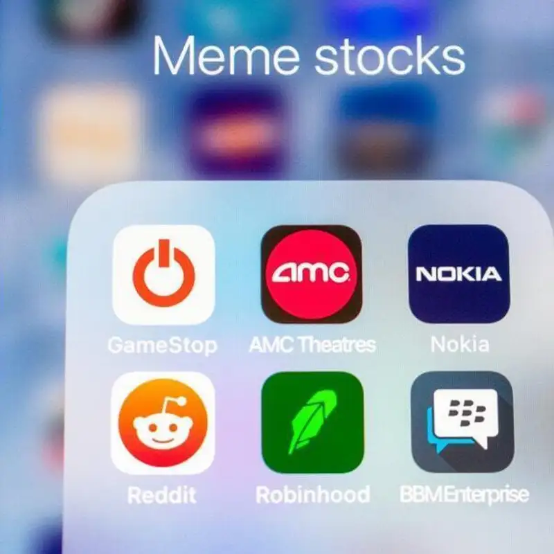 The Mechanics of a Meme Stock Rally