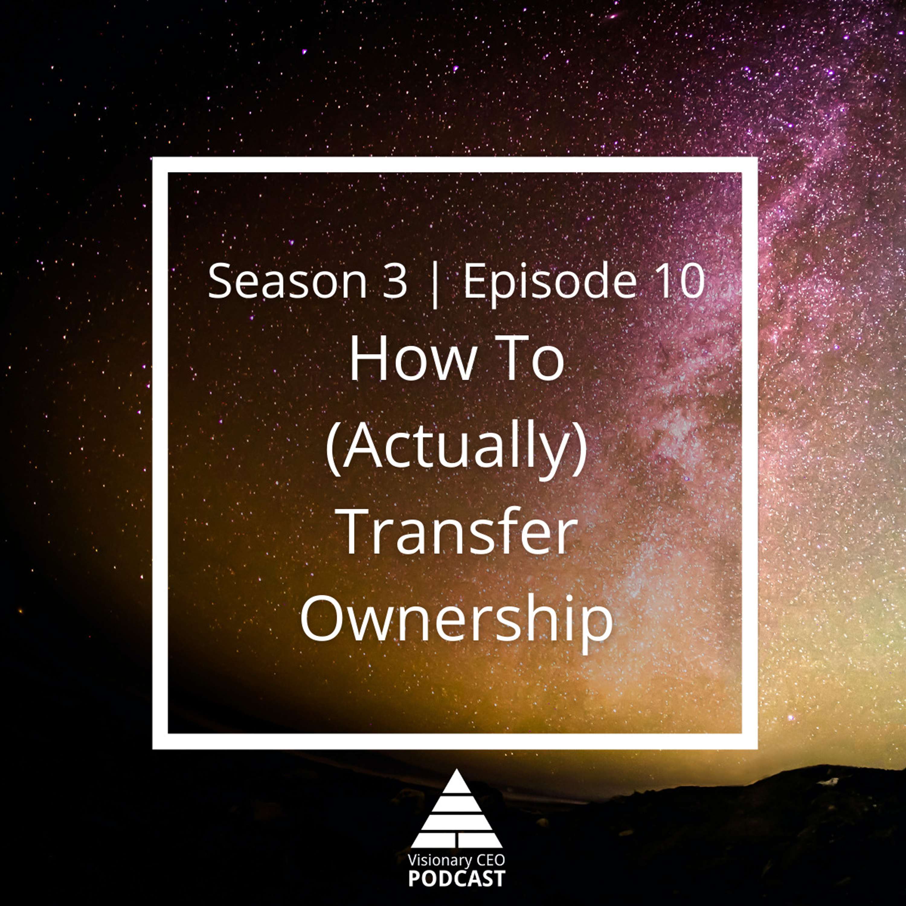 Visionary CEO Podcast