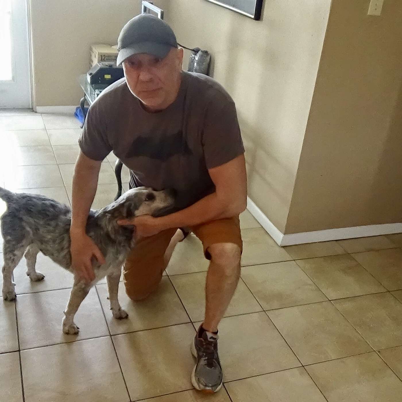 Hey Did You Know podcast with Shellane Demarest