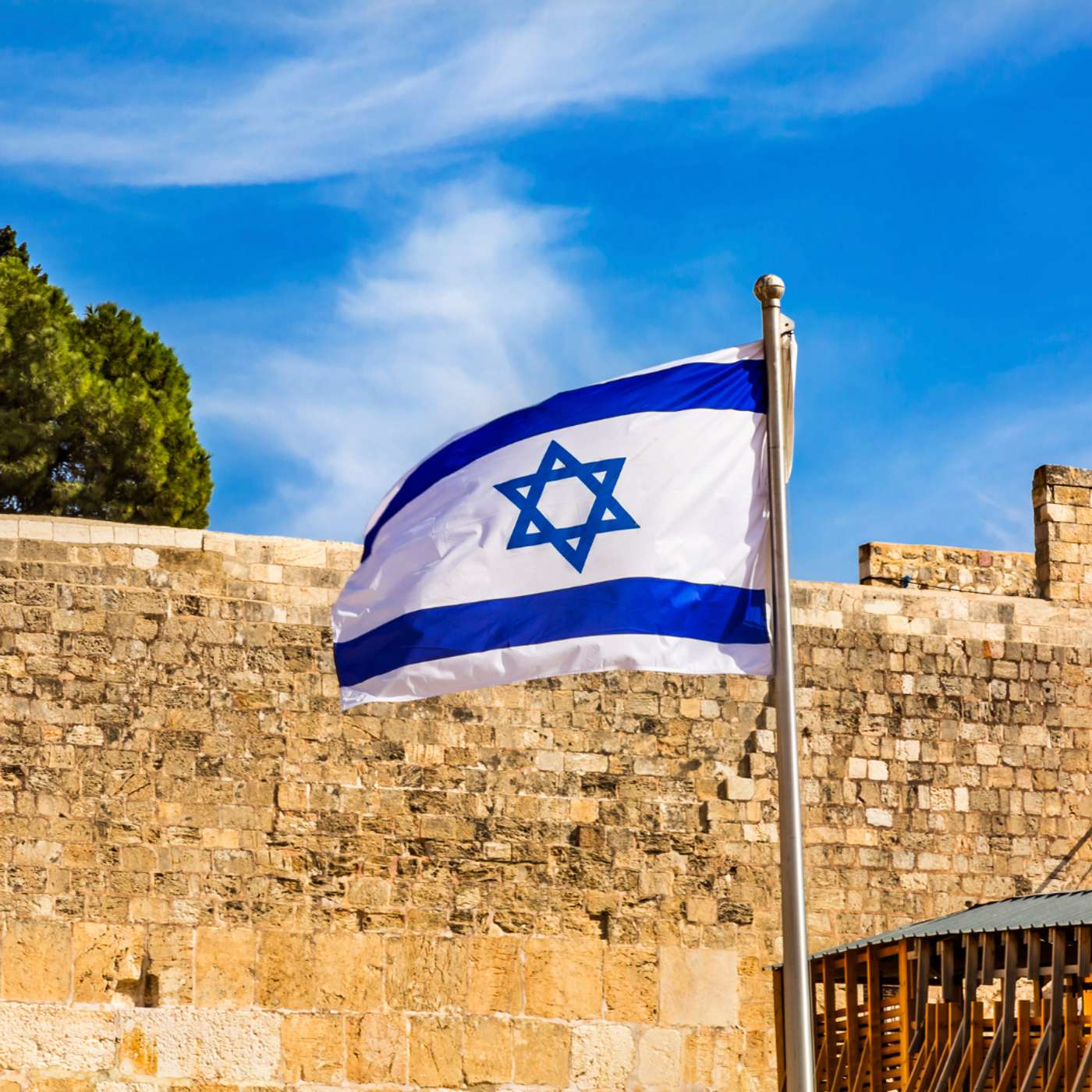 התקומה episode artwork