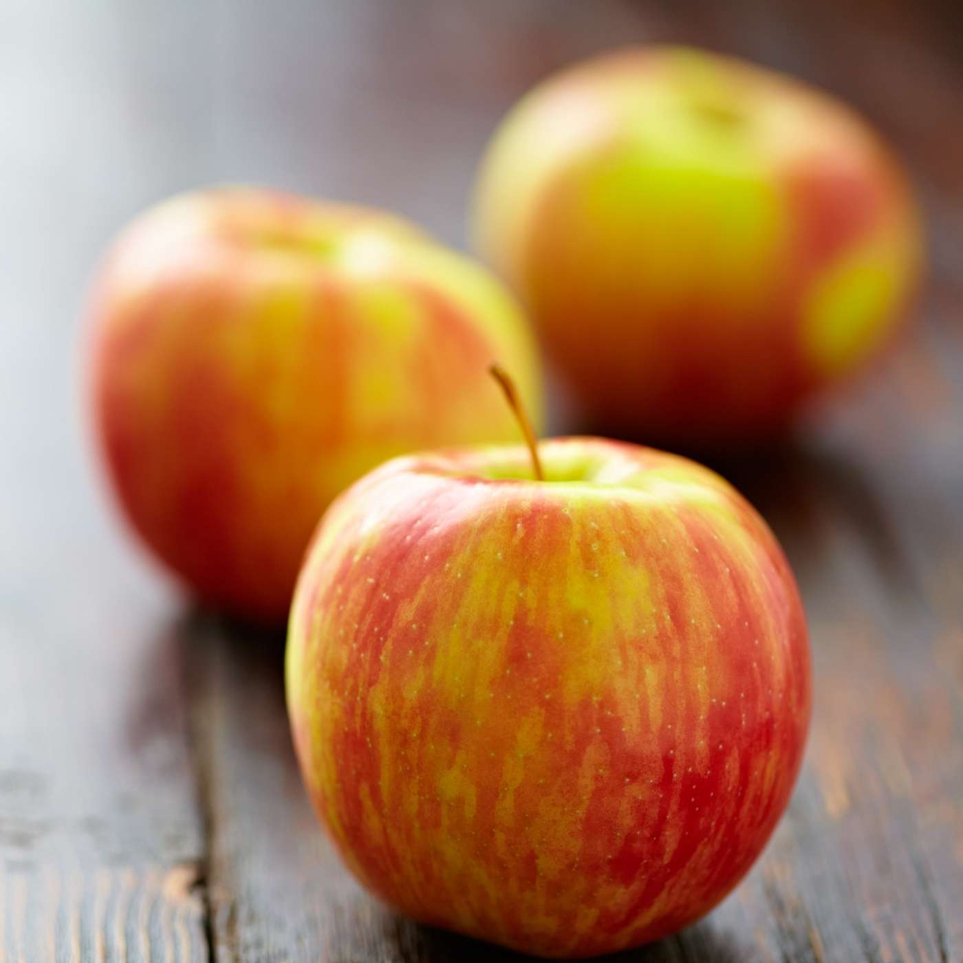 Orchard People