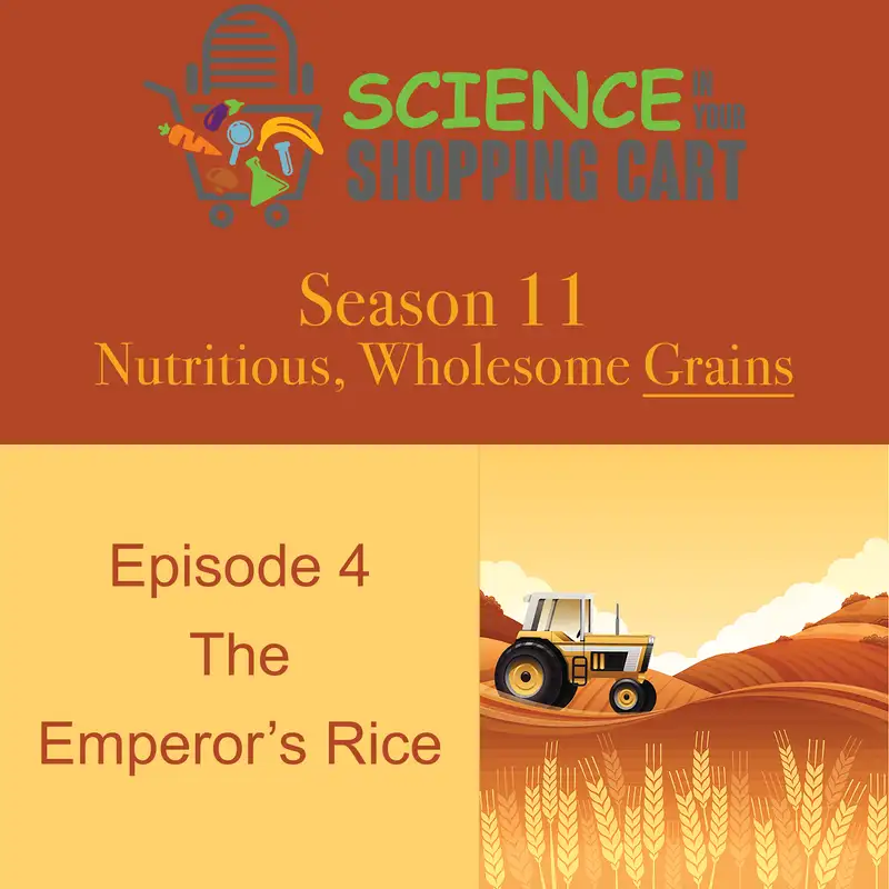 Season 11: Wholesome, Nutritious Grains | Episode 4: The Emperor’s Rice