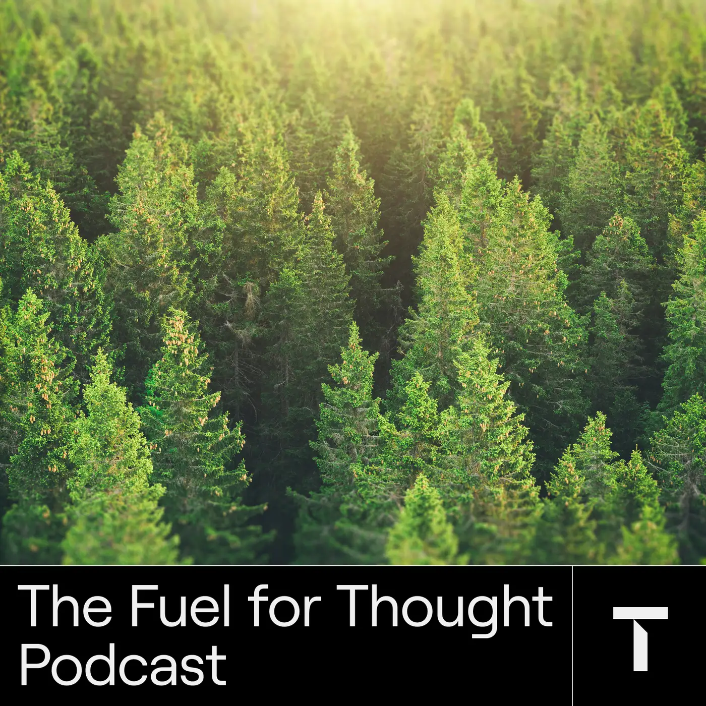 Unveiling the true environmental impact of fuels featured Image