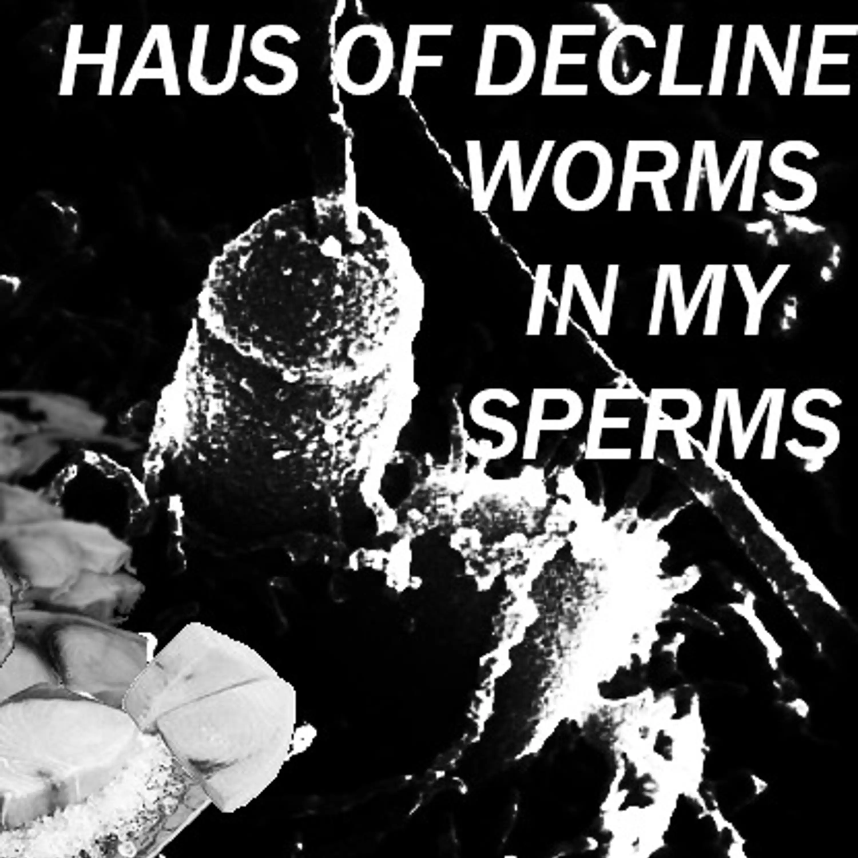 Worms in My Sperms