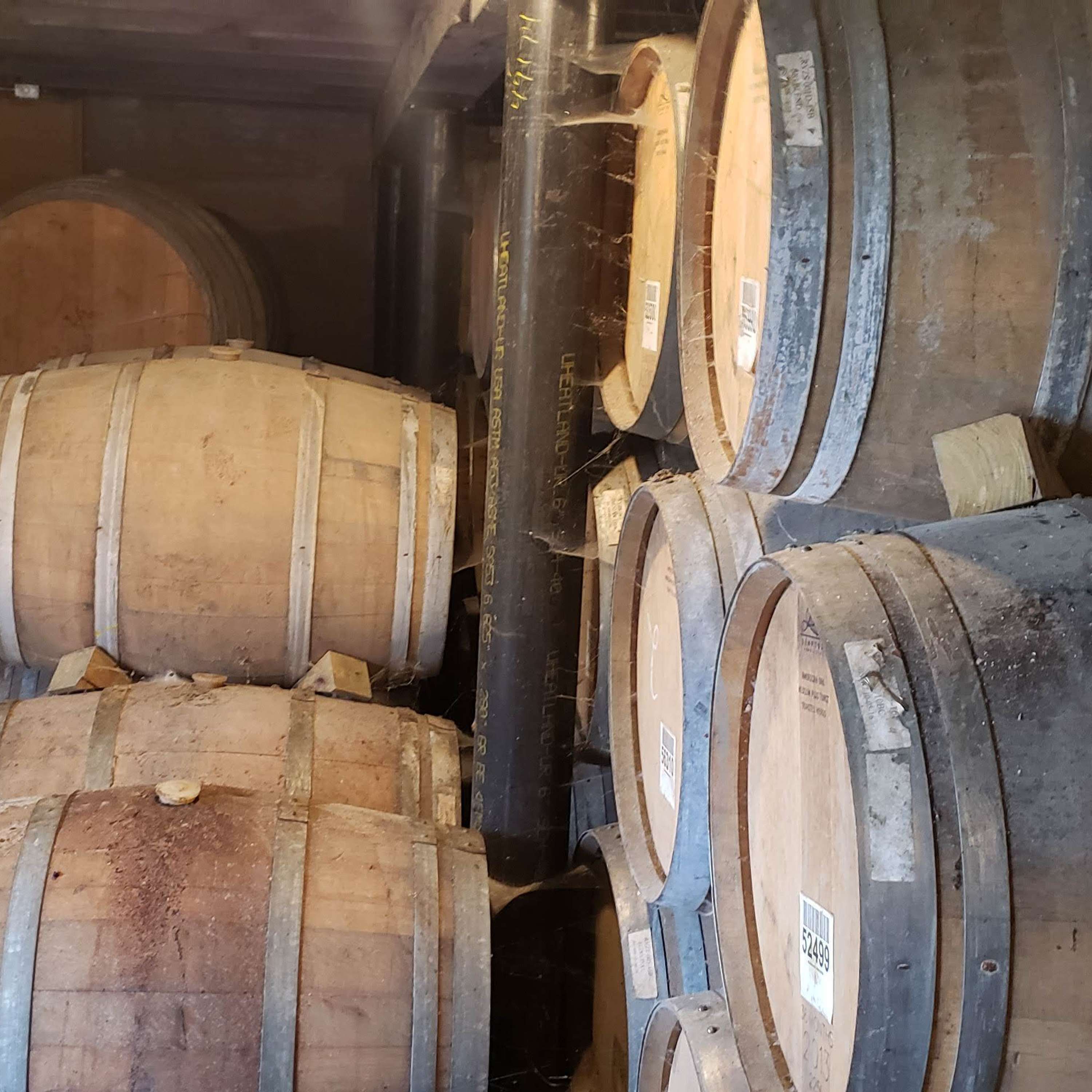 BYO Nano Brew Podcast