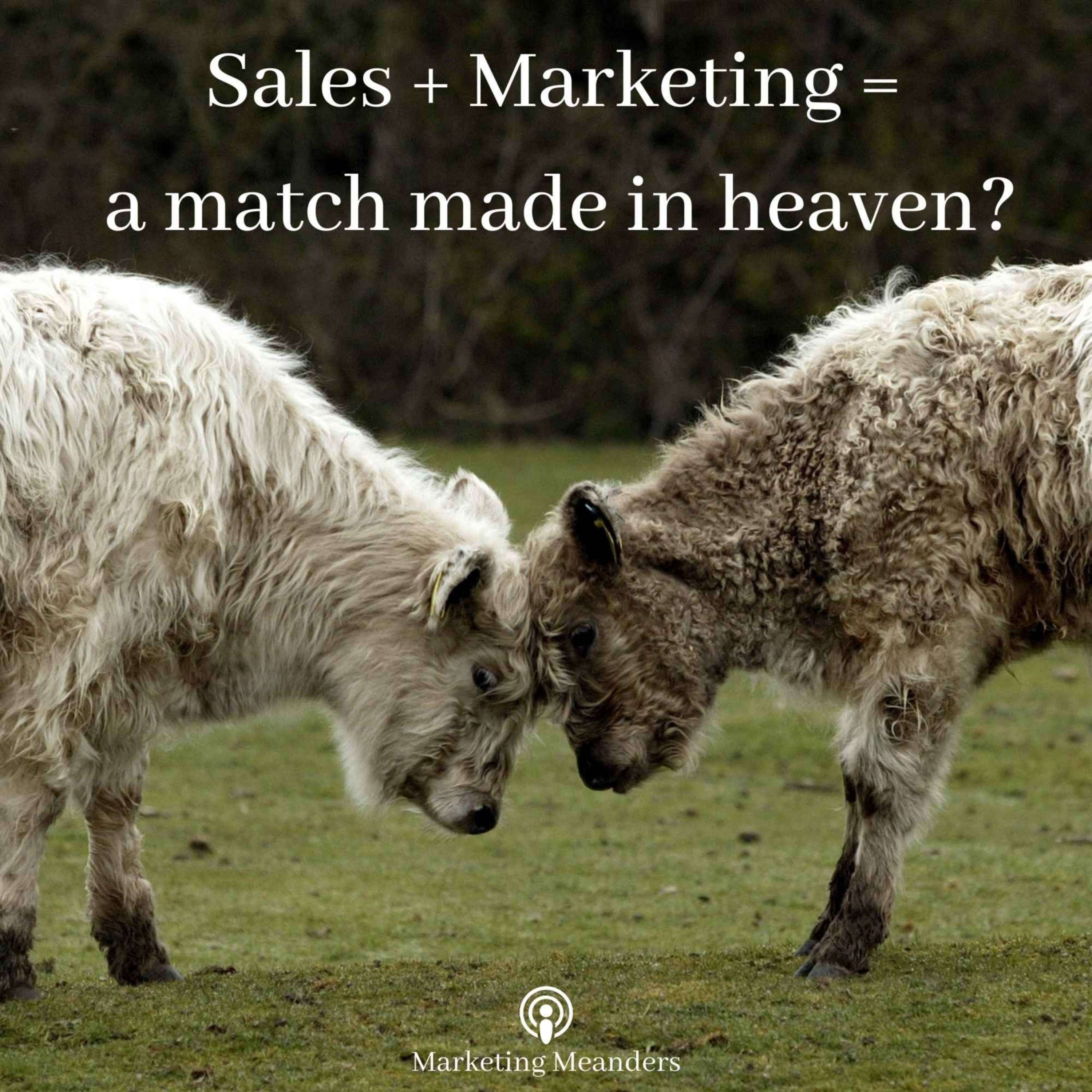 Marketing Meanders: The Marketing Podcast for Marketers and Small Business Owners