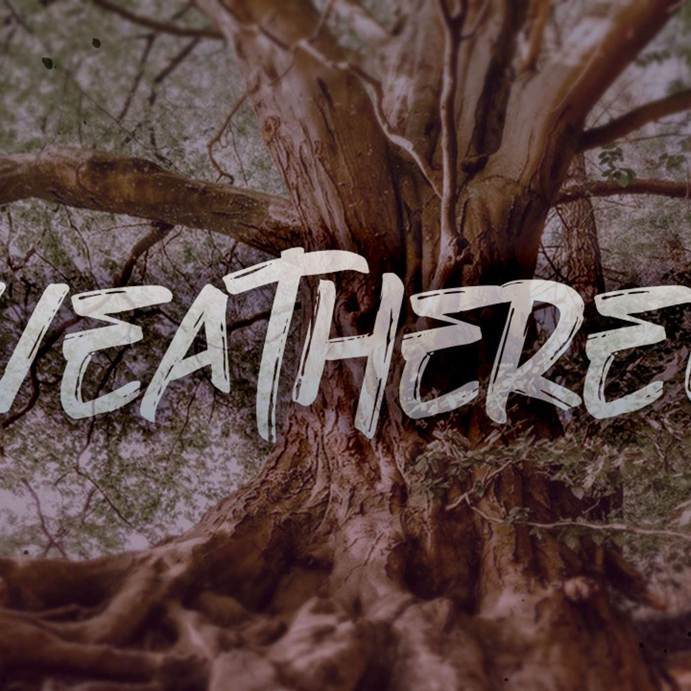 Weathered - Todd Blanton