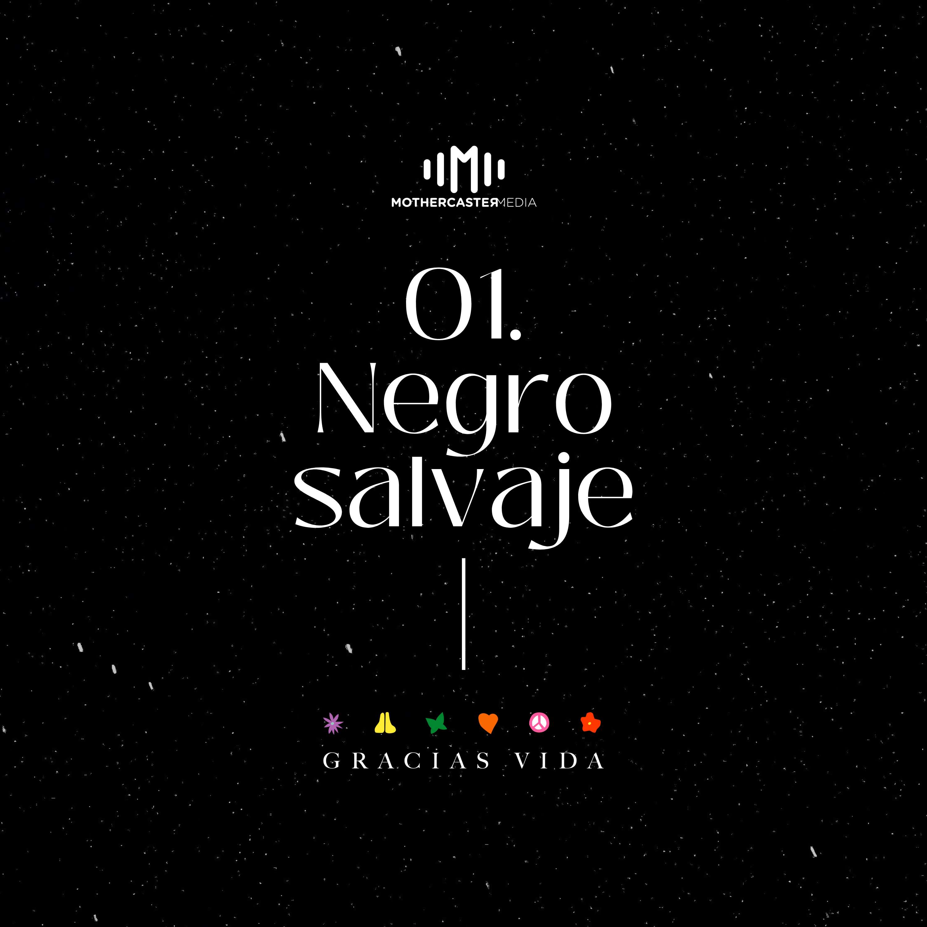 El sonido de los colores