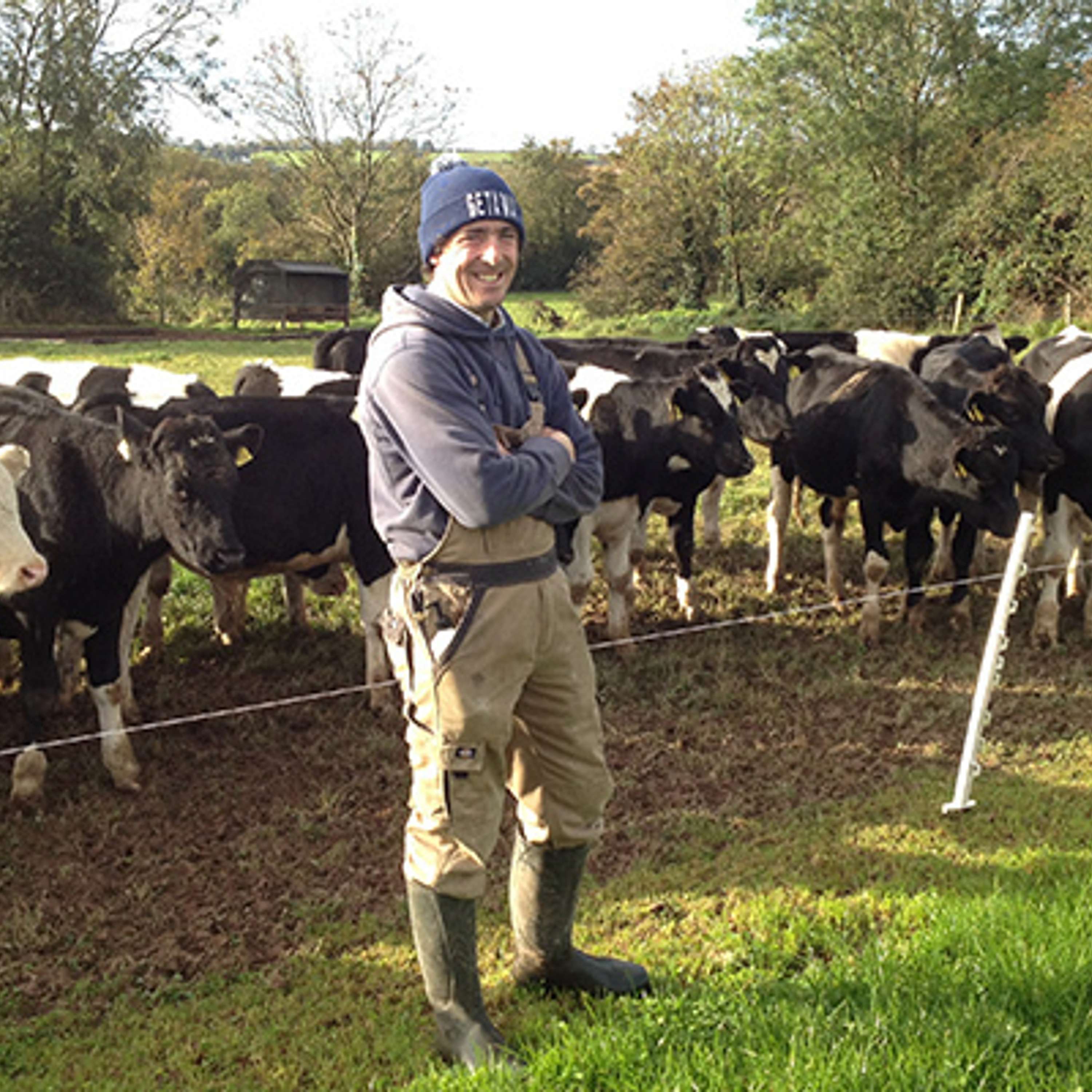 DairyBeef 500 farmer, Pat Collins, on his dairy calf-to-beef system