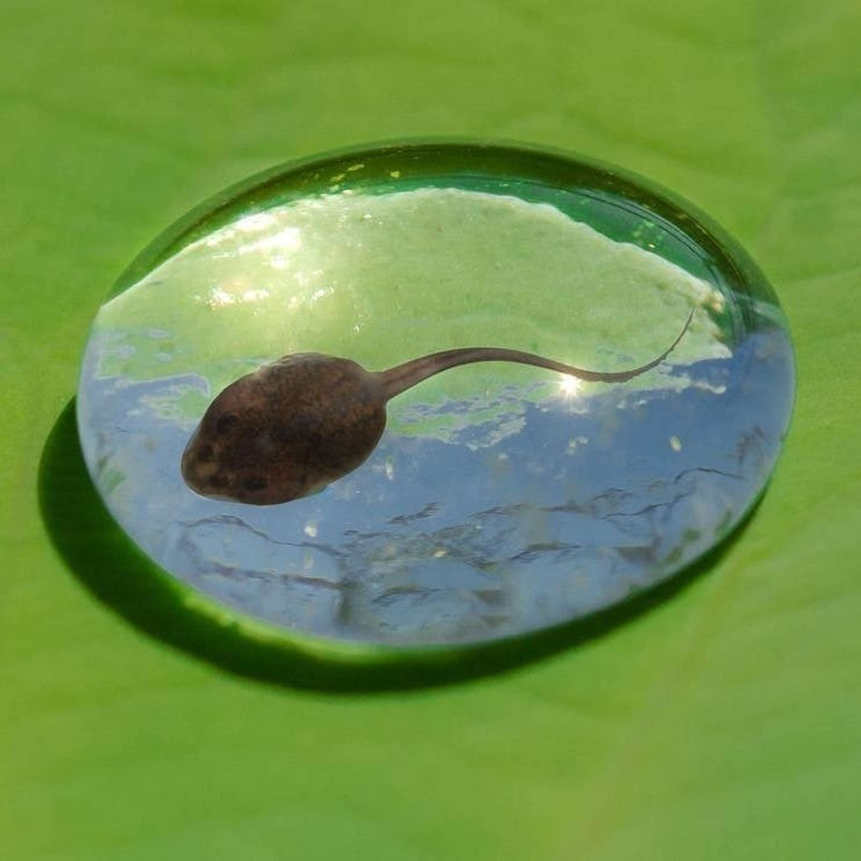 Nature and Science 4 Kids