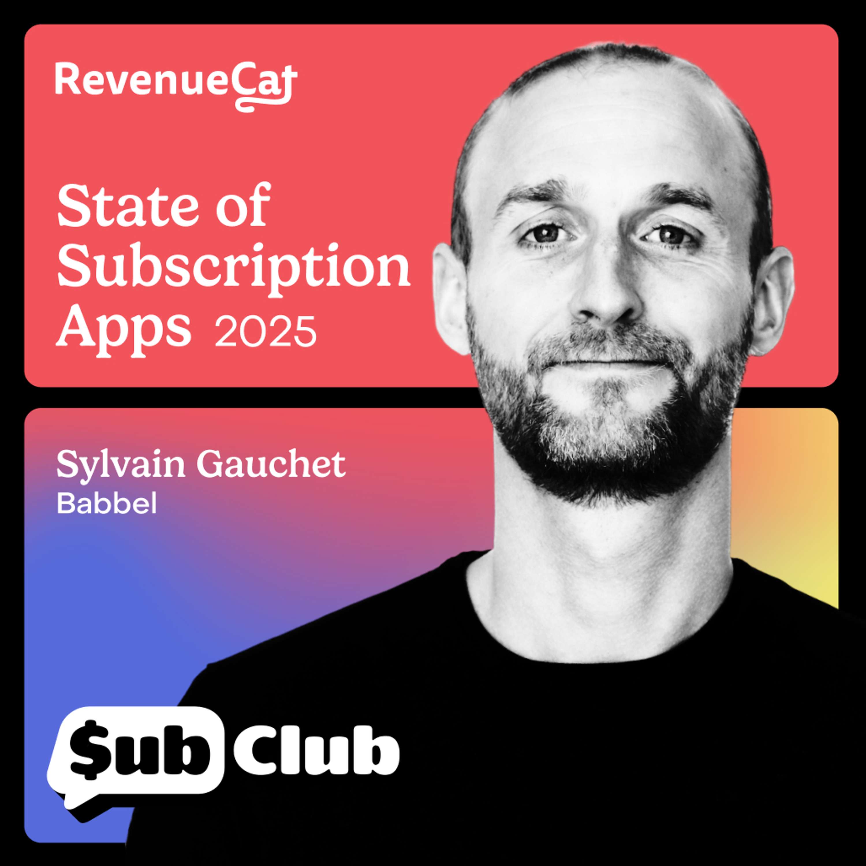 How to Build More Successful Paywalls — Sylvain Gauchet - podcast episode cover