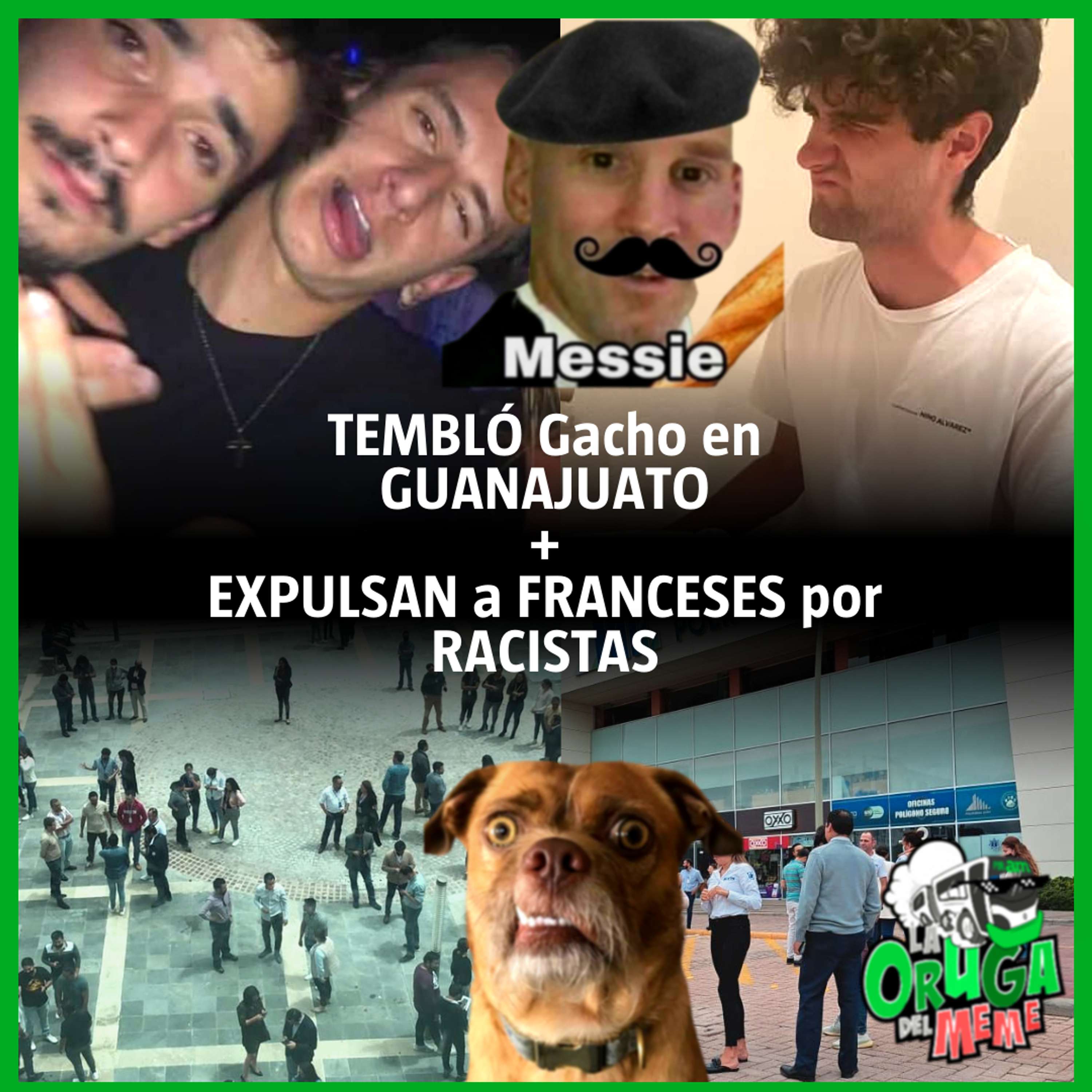 La Oruga del Meme