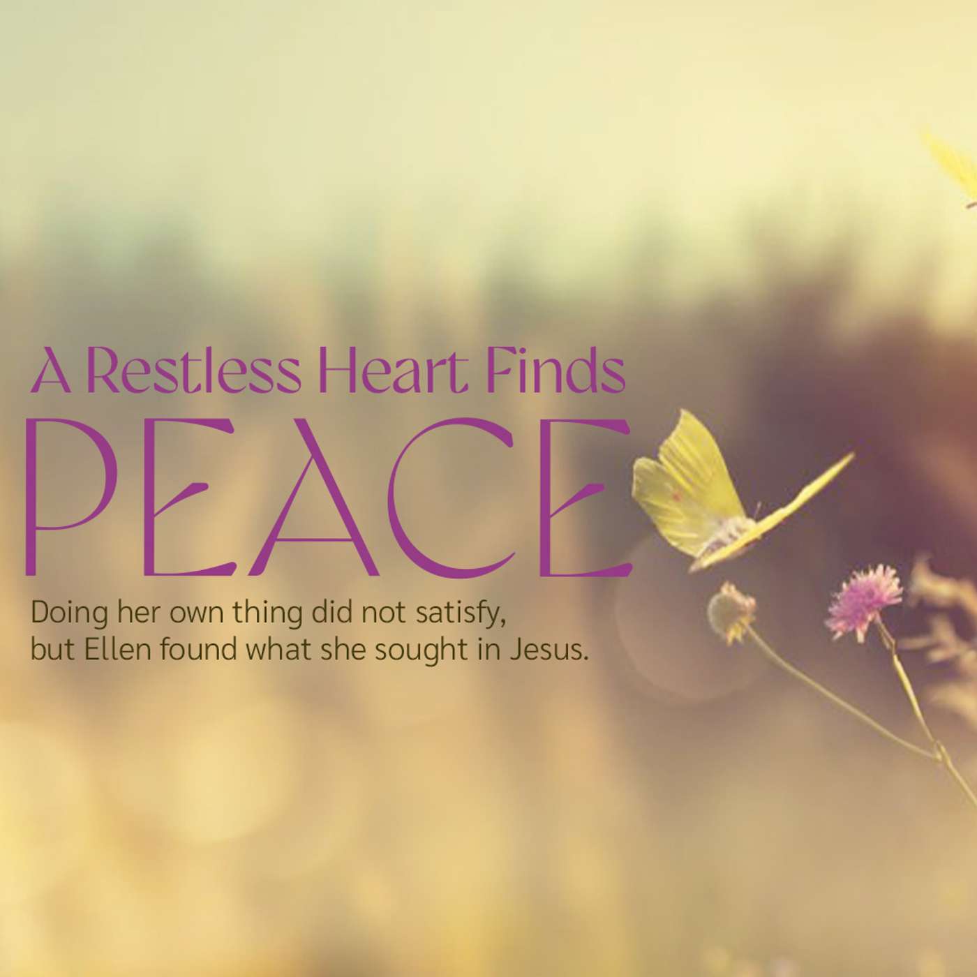 A Restless Heart Finds Peace