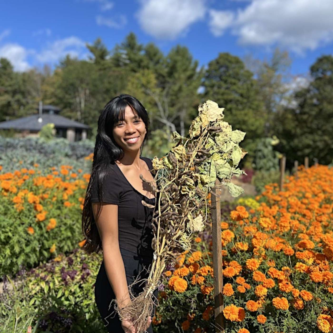Loving Soybeans w/ Chef & Farmer Ria Ibrahim Loving Soybeans w/ Chef & Farmer Ria Ibrahim