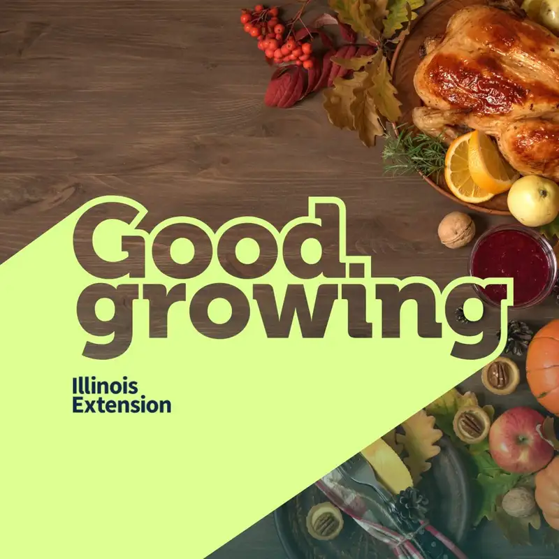 Ep. 124 The Local Thanksgiving Challenge | #goodgrowing