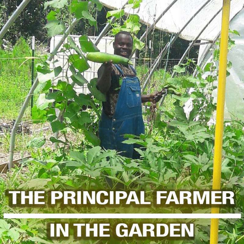 Patrick Muhammed The Principal Farmer