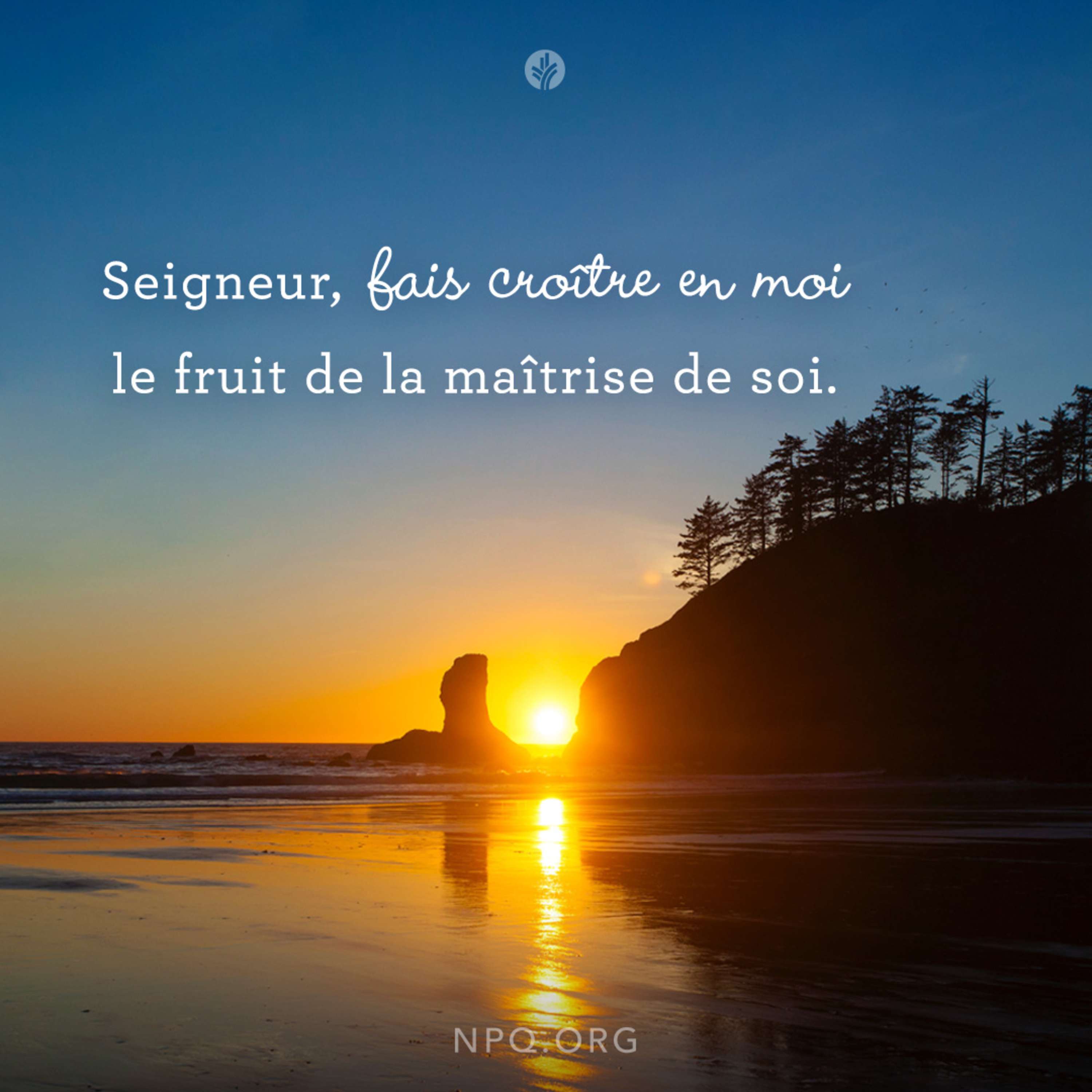 Notre Pain Quotidien podcast