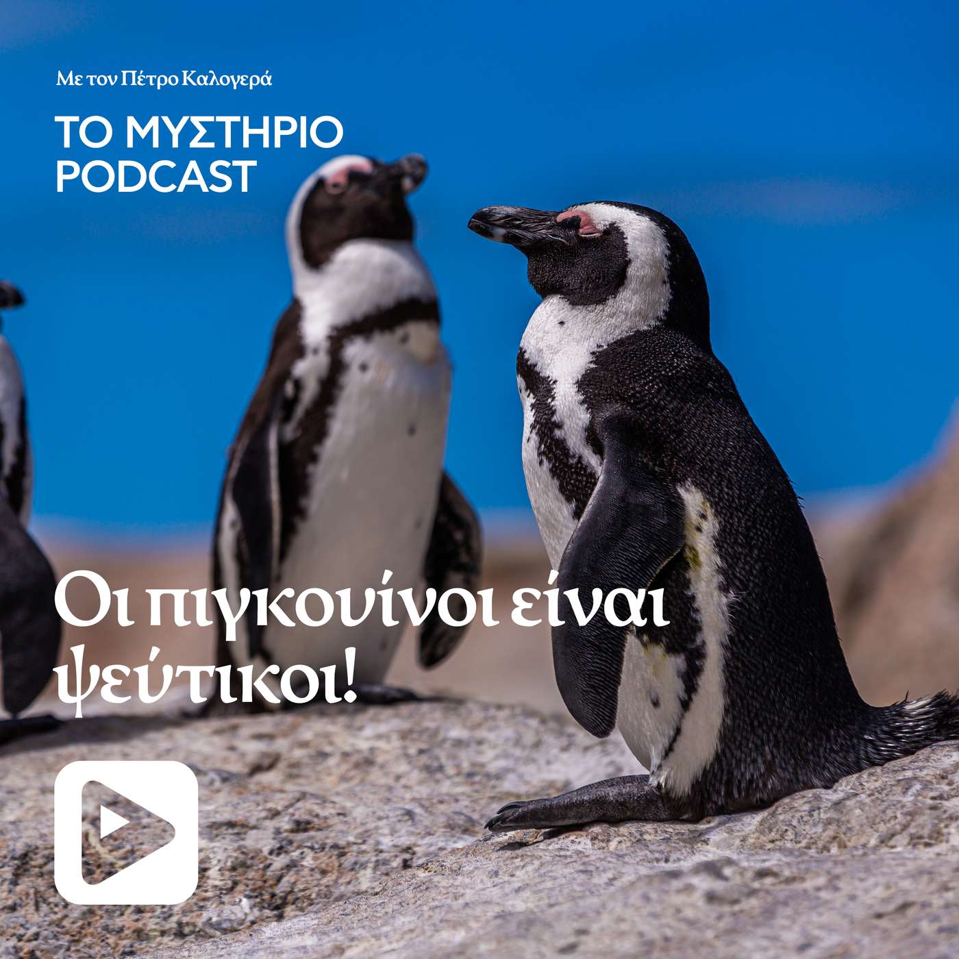 Οι πιγκουίνοι είναι ψεύτικοι!