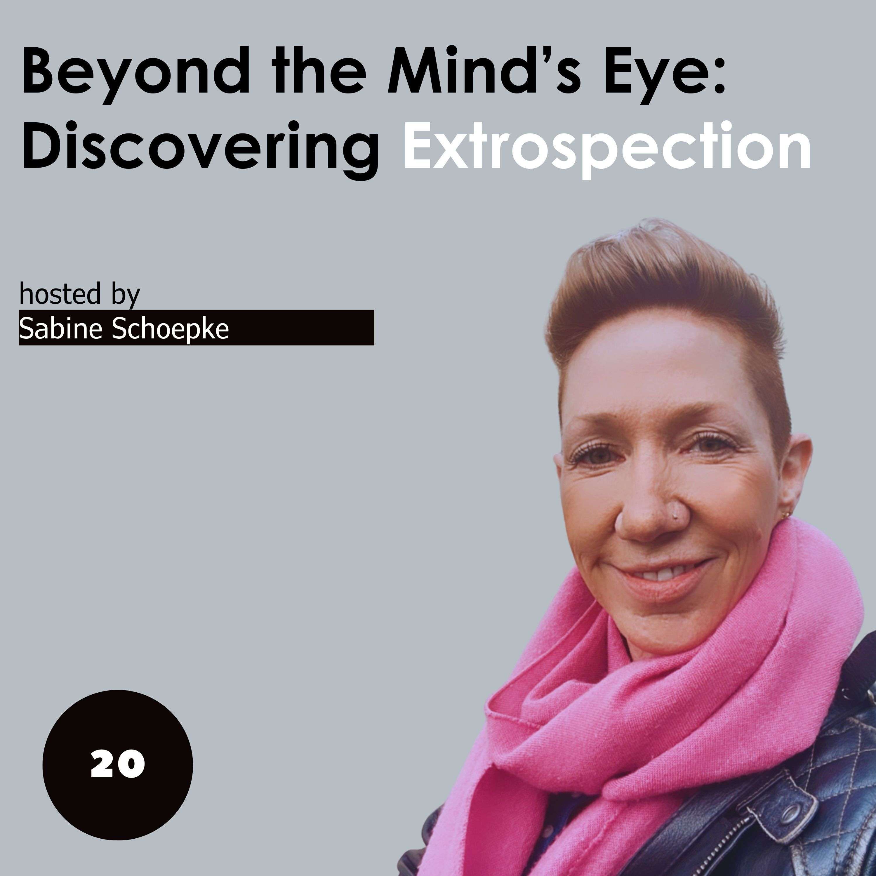 Beyond the Mind's Eye-Discovering Extrospection