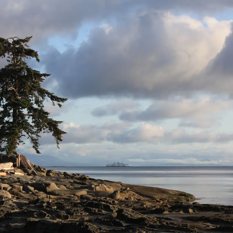 AAP results approves new health and wellness service for Gabriola Island
