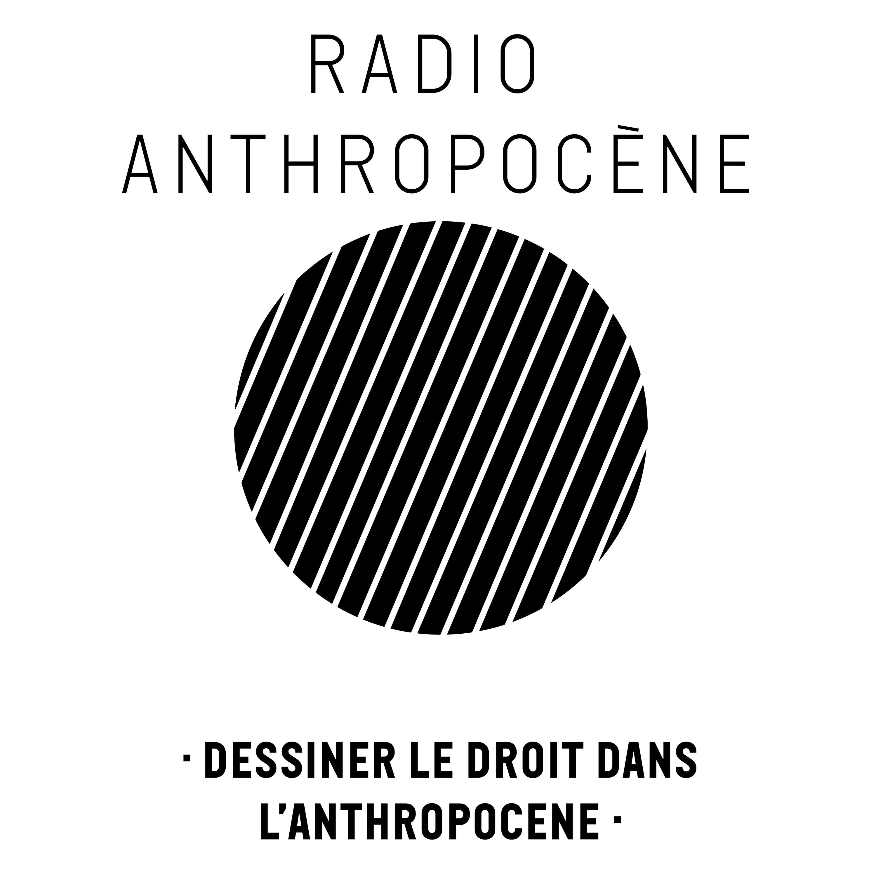 Droit dans l'Anthropocène