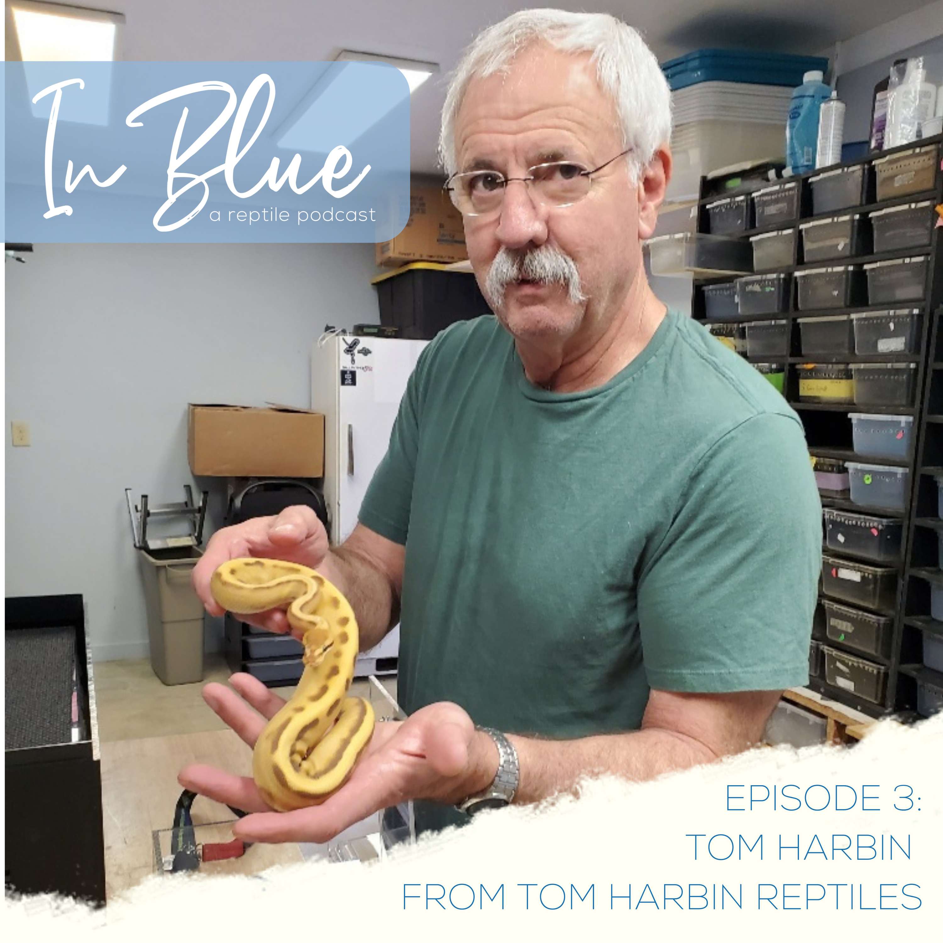 In Blue Podcast
