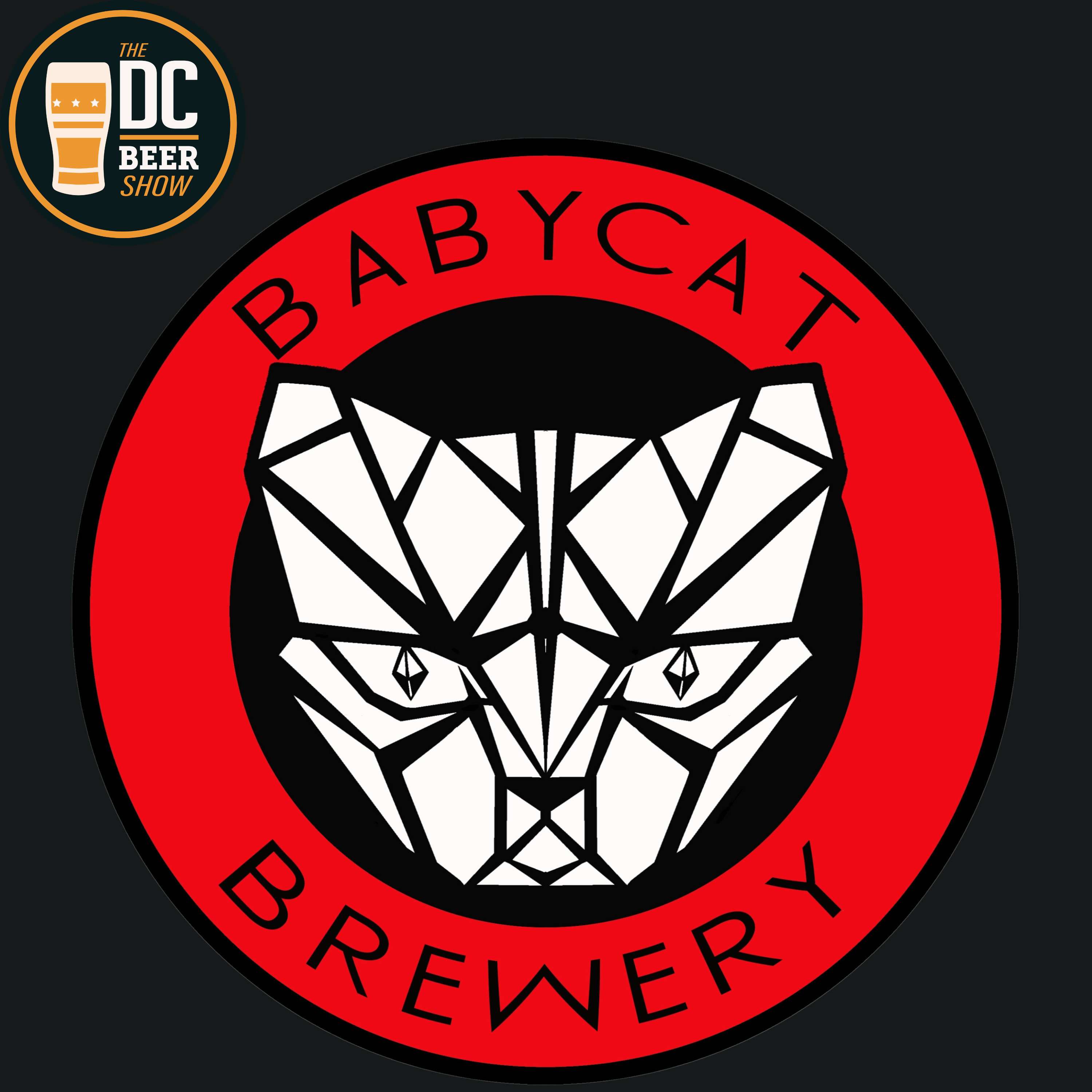 BabyCat Brewery and More Great Events