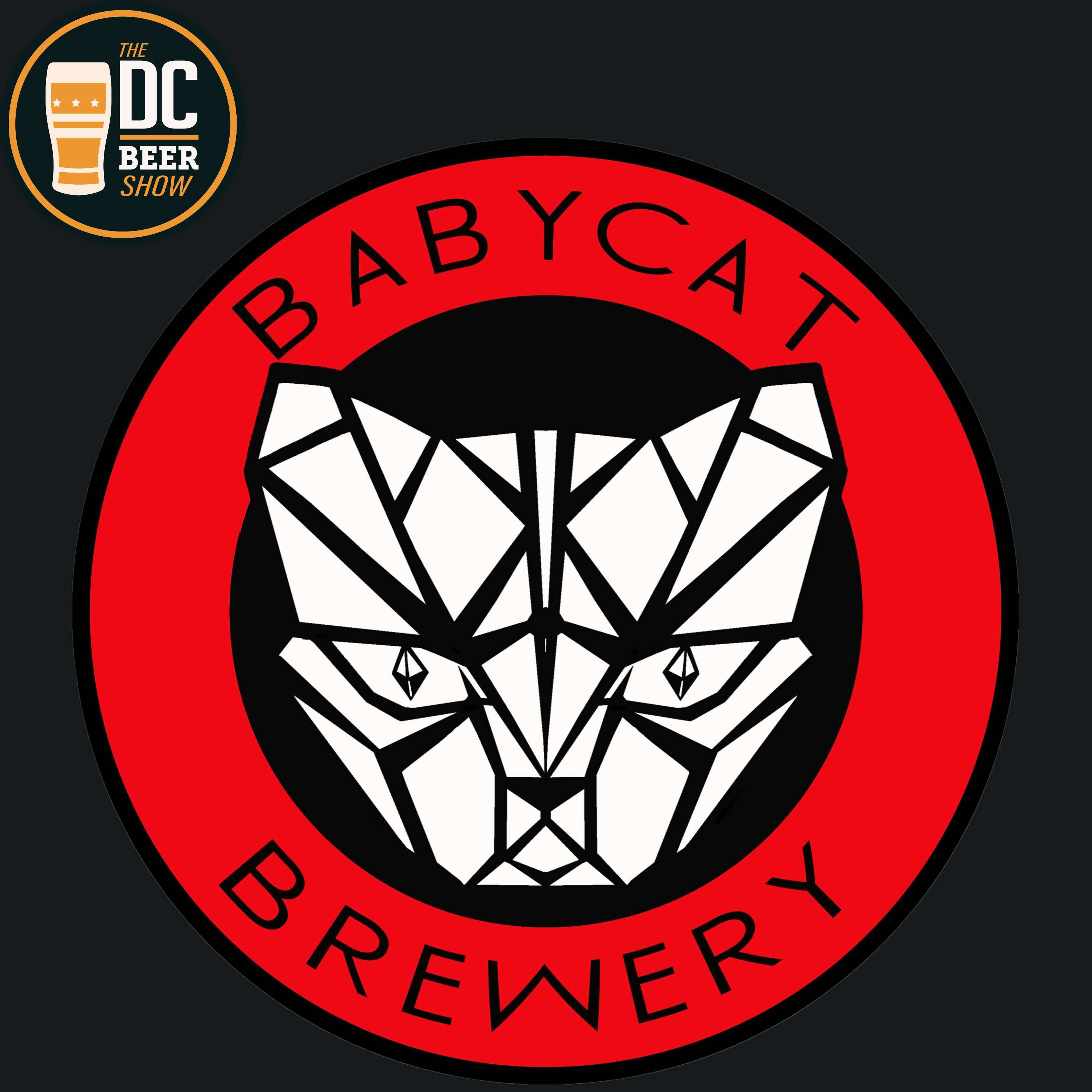 The DC Beer Show