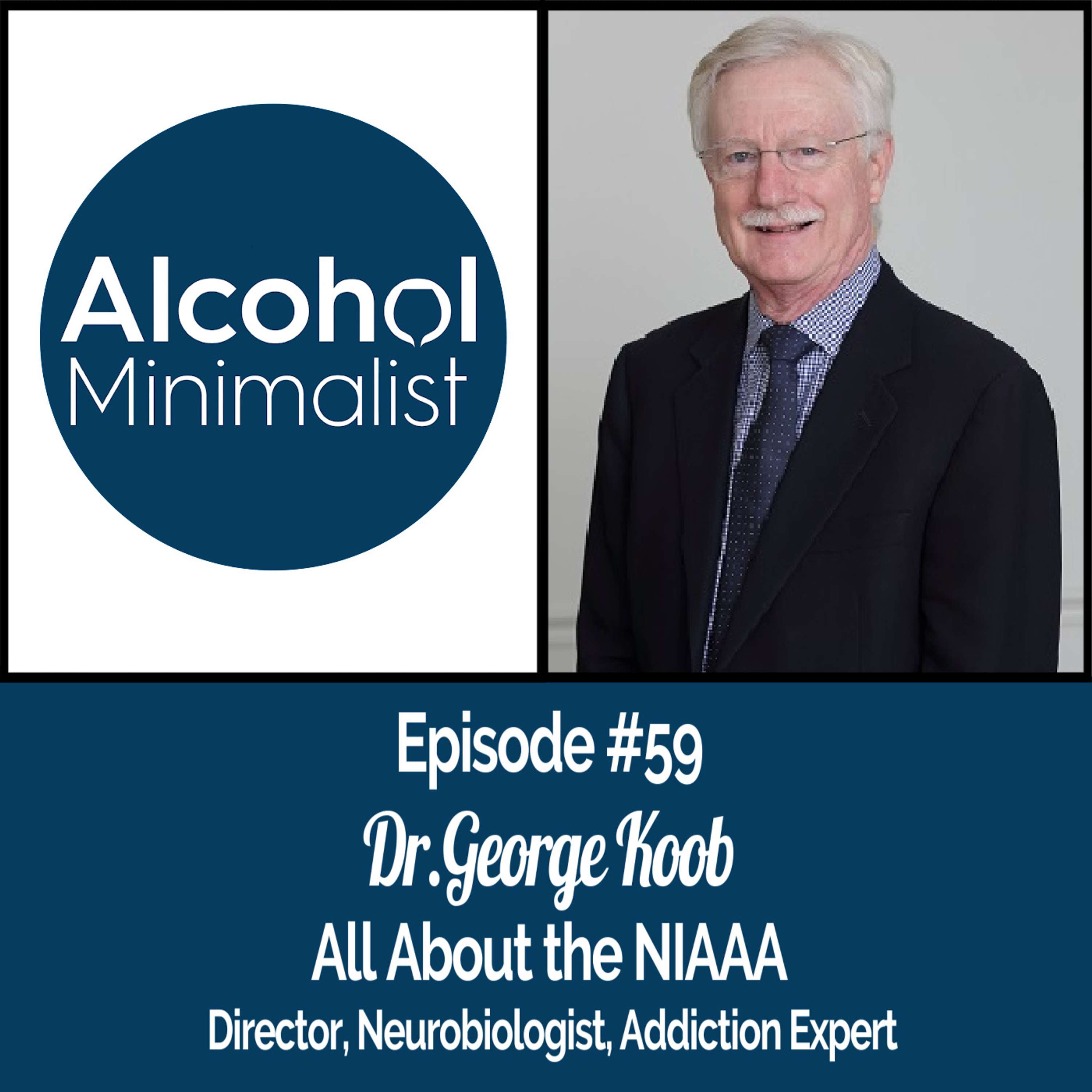 cover of episode All About the NIAAA with Dr. George Koob