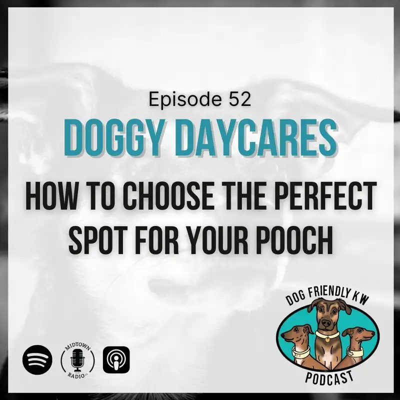 HOT TOPIC: How to Choose Your Doggy Daycare