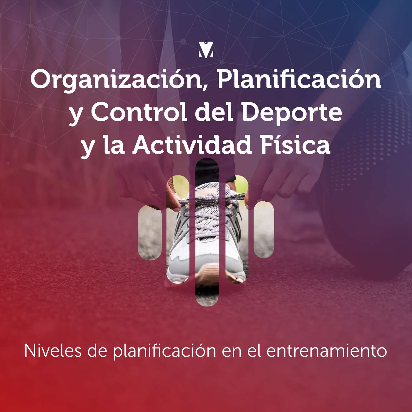 2 - ORGANIZACIÓN, PLANIFICACIÓN Y CONTROL DEL DEPORTE Y LA ACTIVIDAD FÍSICA: Niveles de planificación en el entrenamiento
