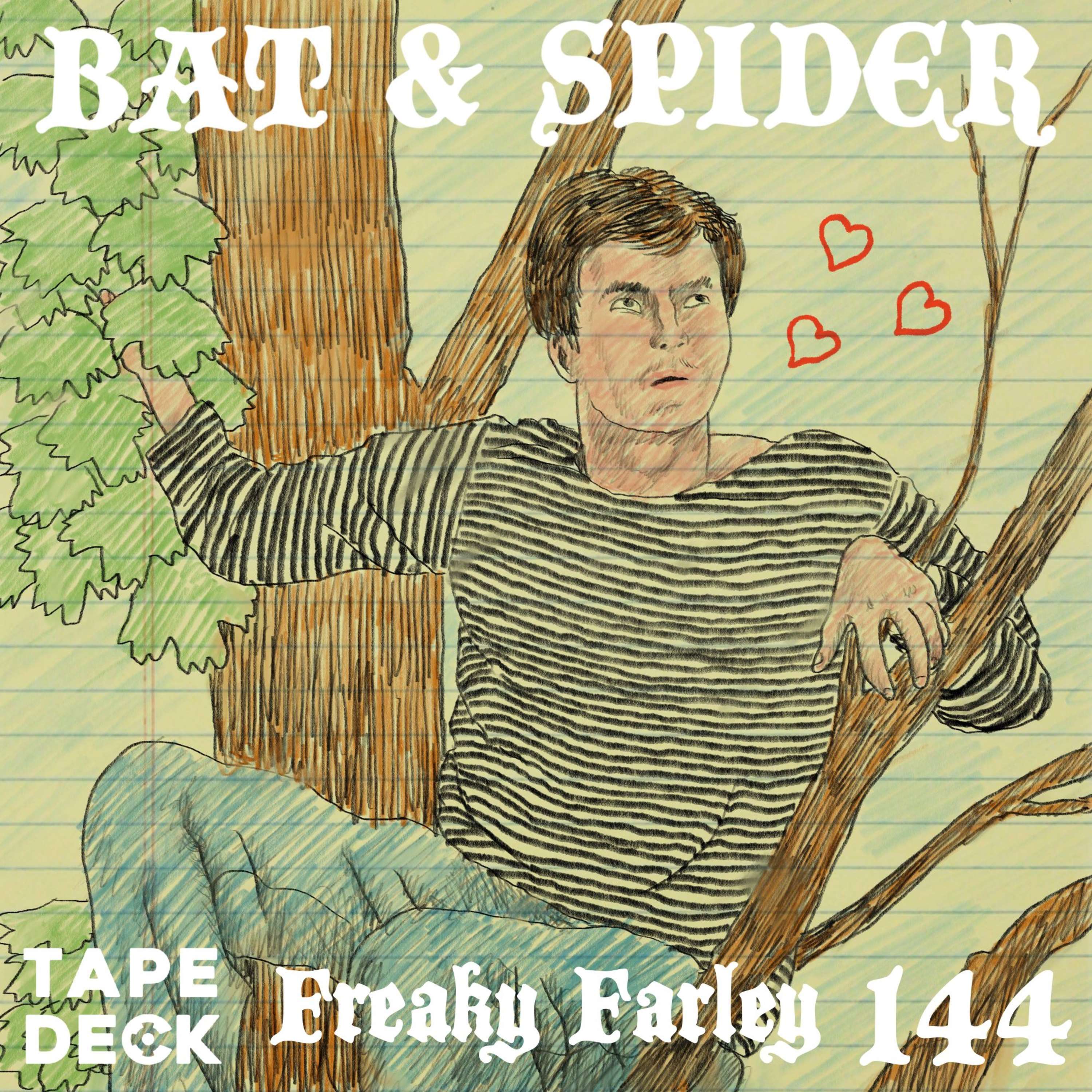BAT AND SPIDER