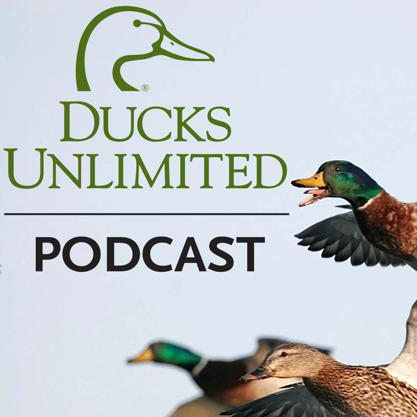 Ducks Unlimited Podcast