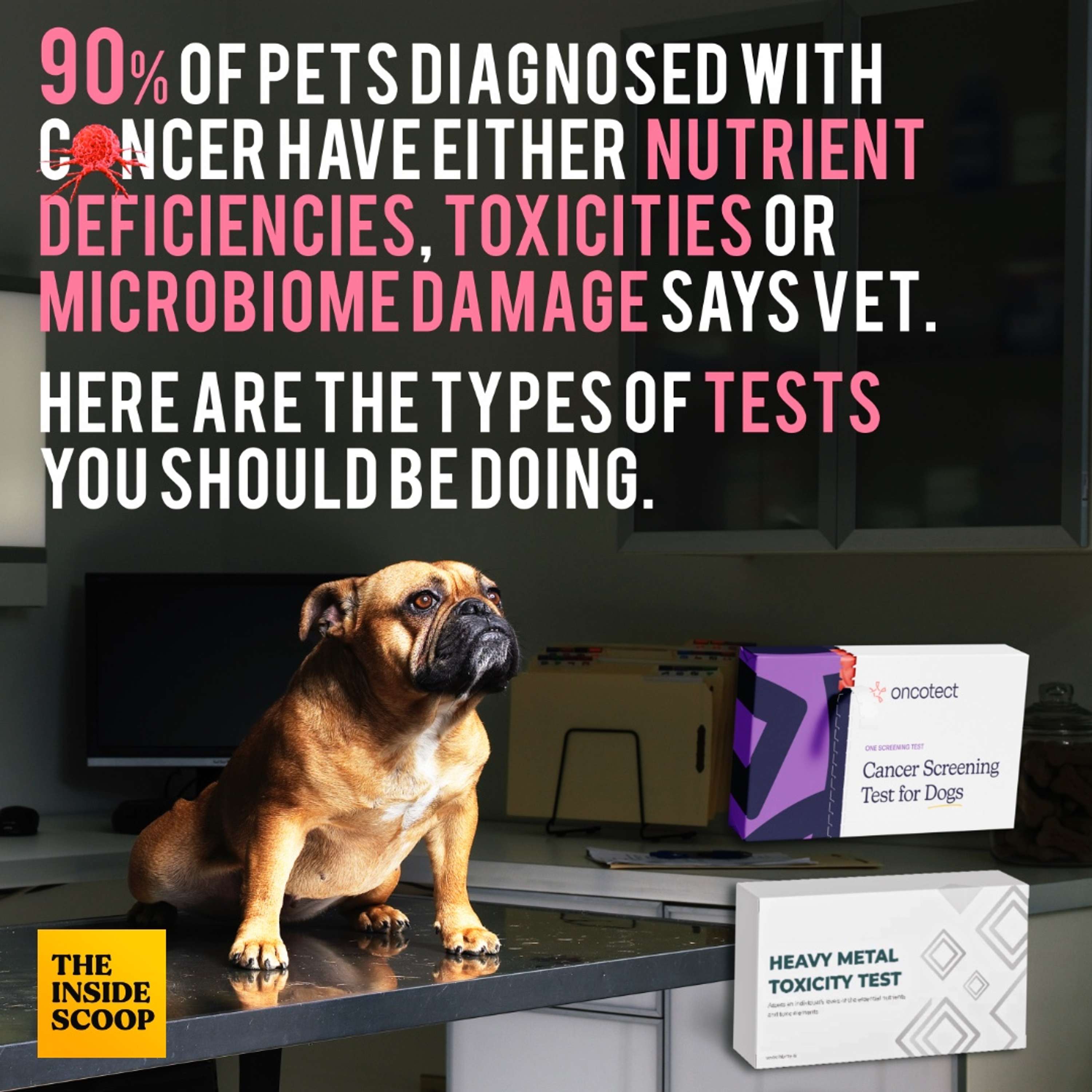 Mind-Jam Podcast: Pet Health & Longevity