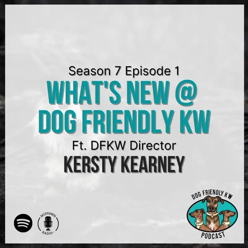 Season 7 PREMIERE! What's NEW at DFKW w/ Kersty Kearney