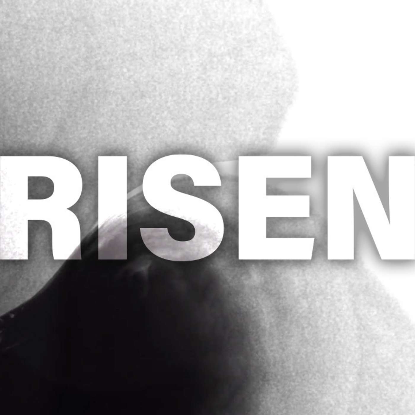 Risen - Todd Blanton