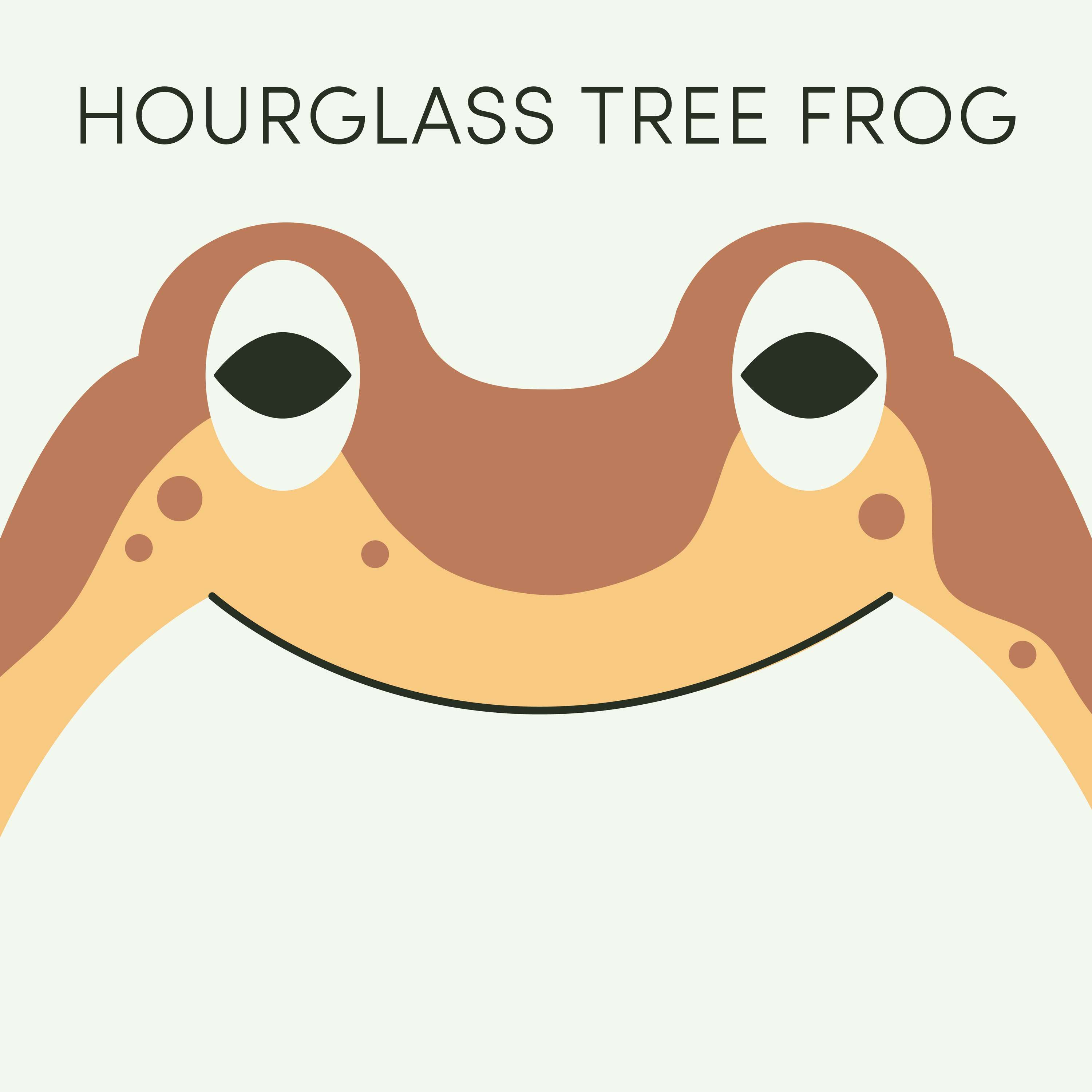 Hourglass Tree Frog | Week of September 18th