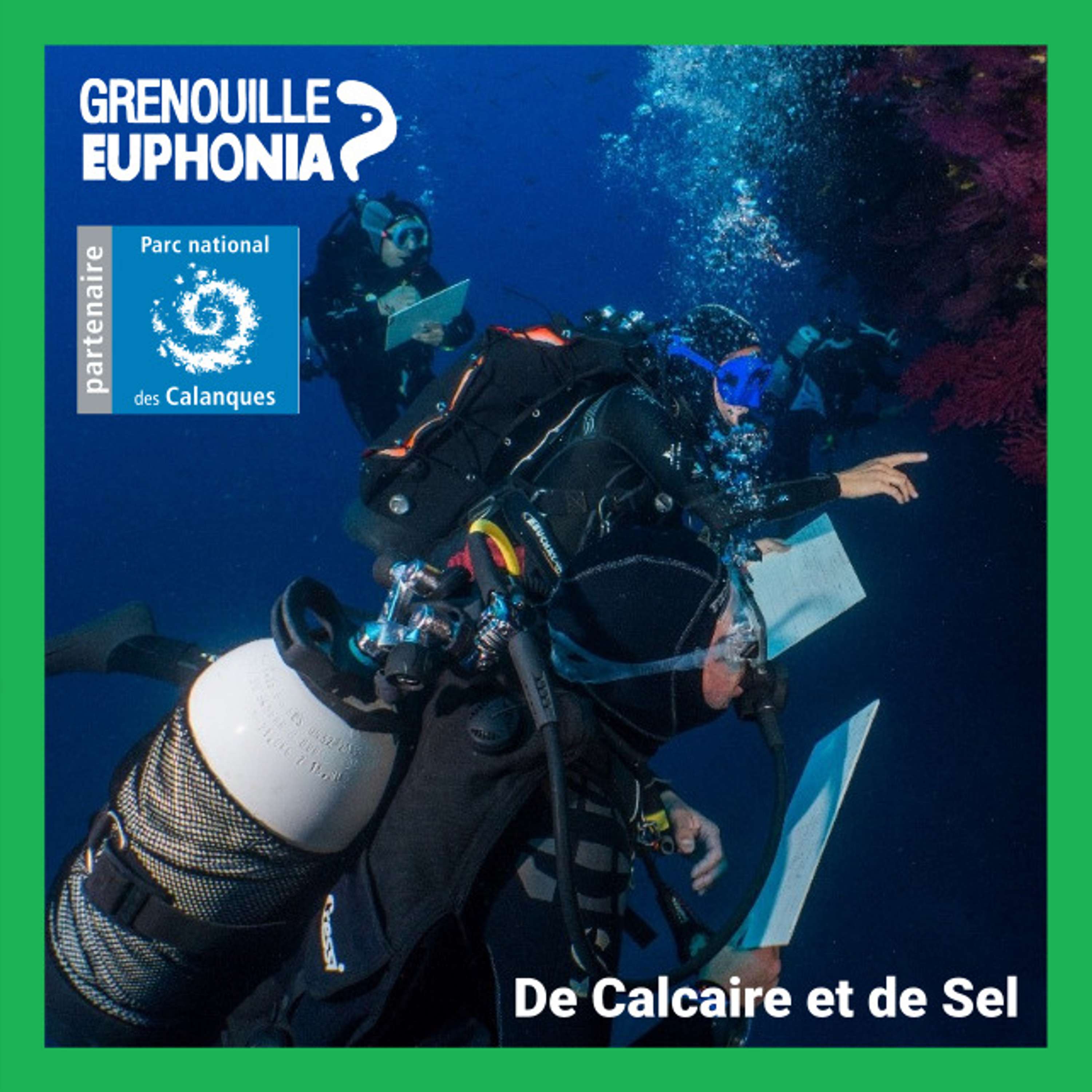 De calcaire et de sel - Radio Grenouille et le Parc National des Calanques