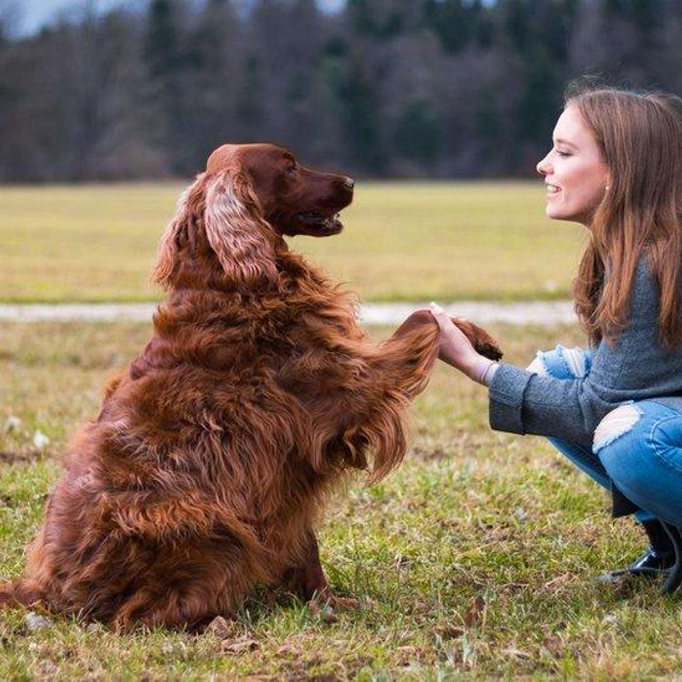Your dog is counting how many treats you're feeding it