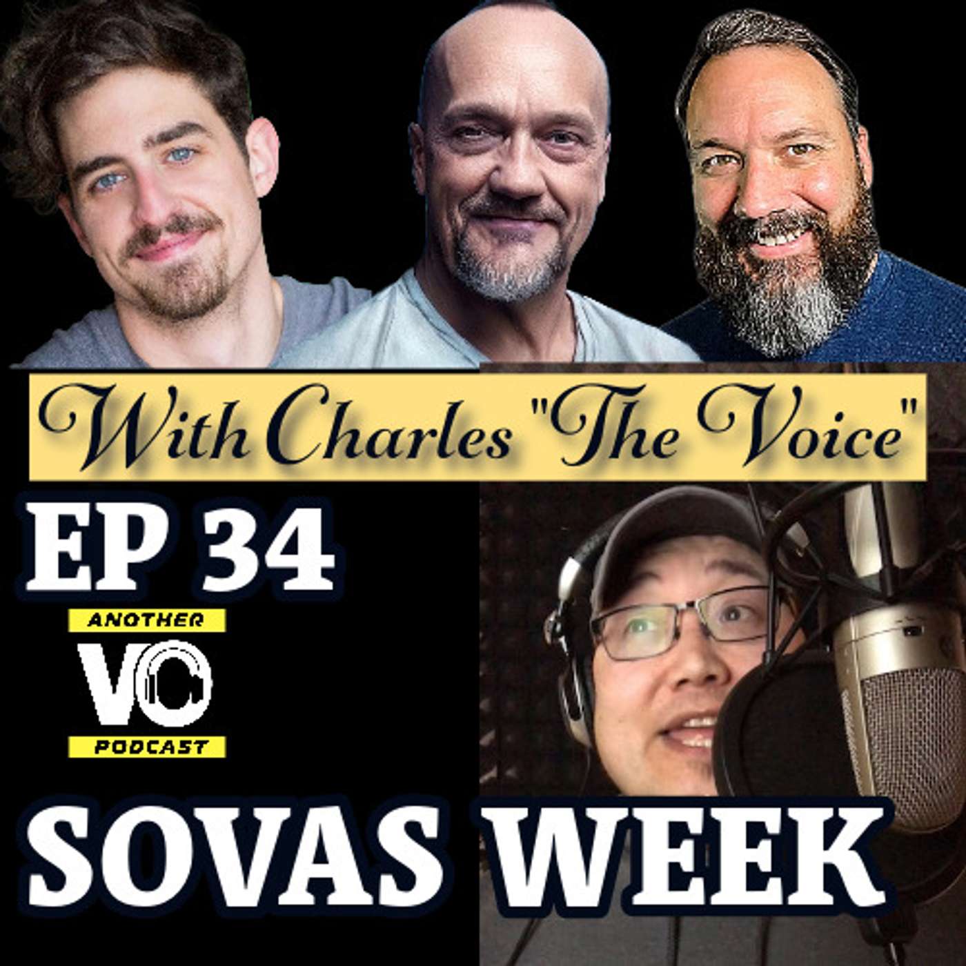 Another VO Podcast!