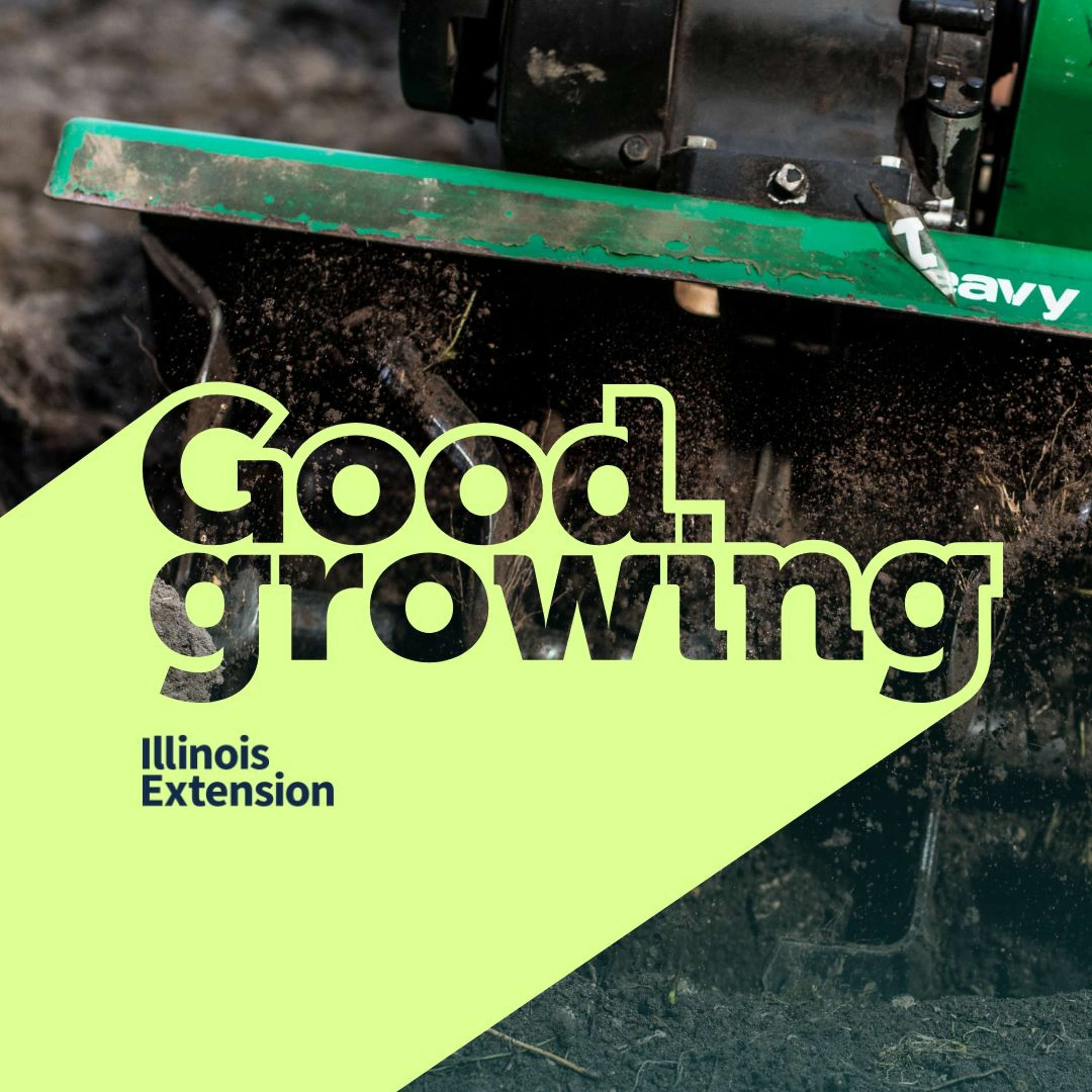 Gardenbite: Exploring reduced tillage in vegetable production | #GoodGrowing