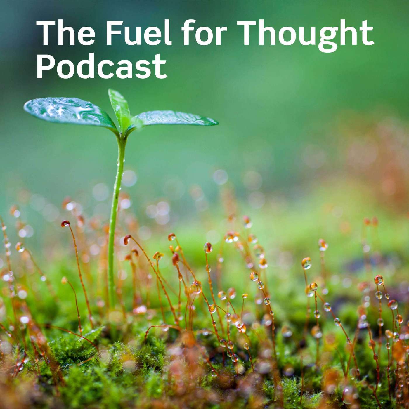 The Fuel for Thought Podcast