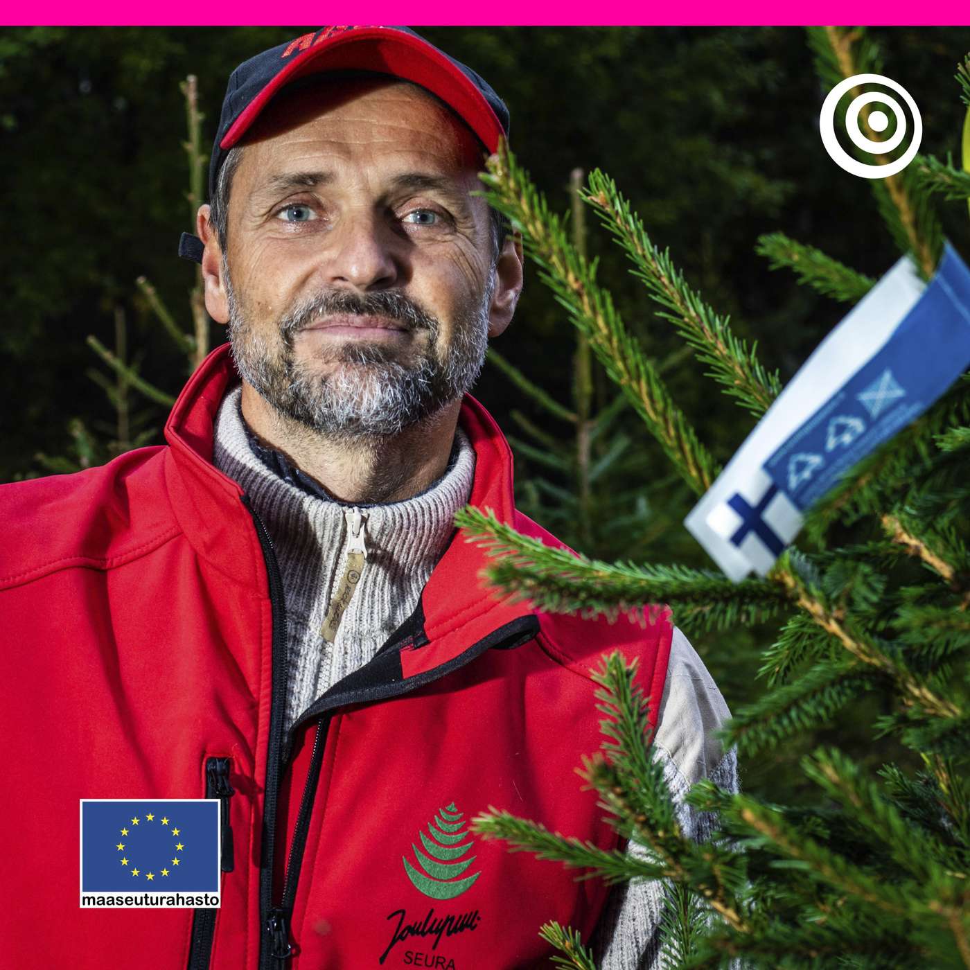 Joulukuusista lisäansioita