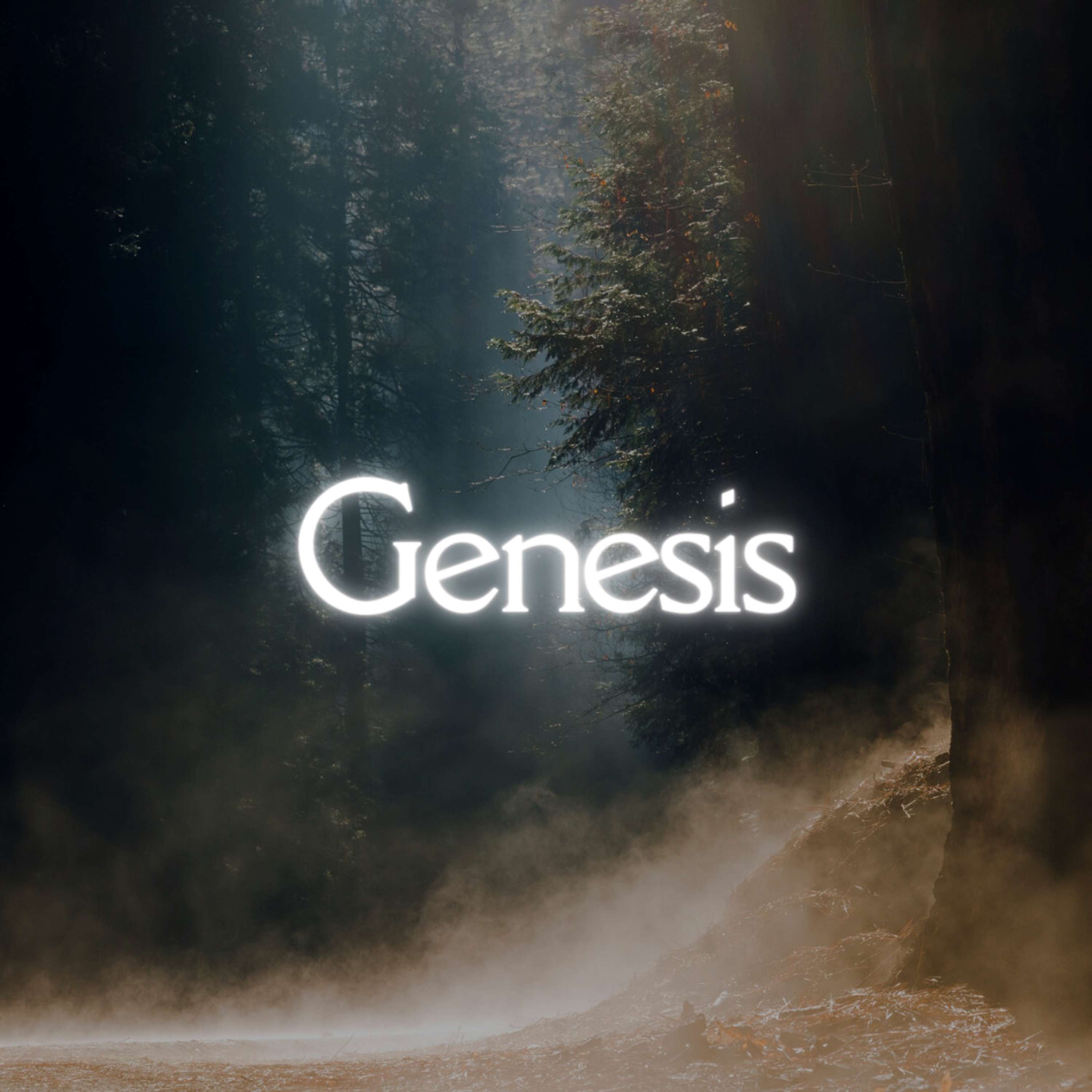 Genesis Week 2 | Rest