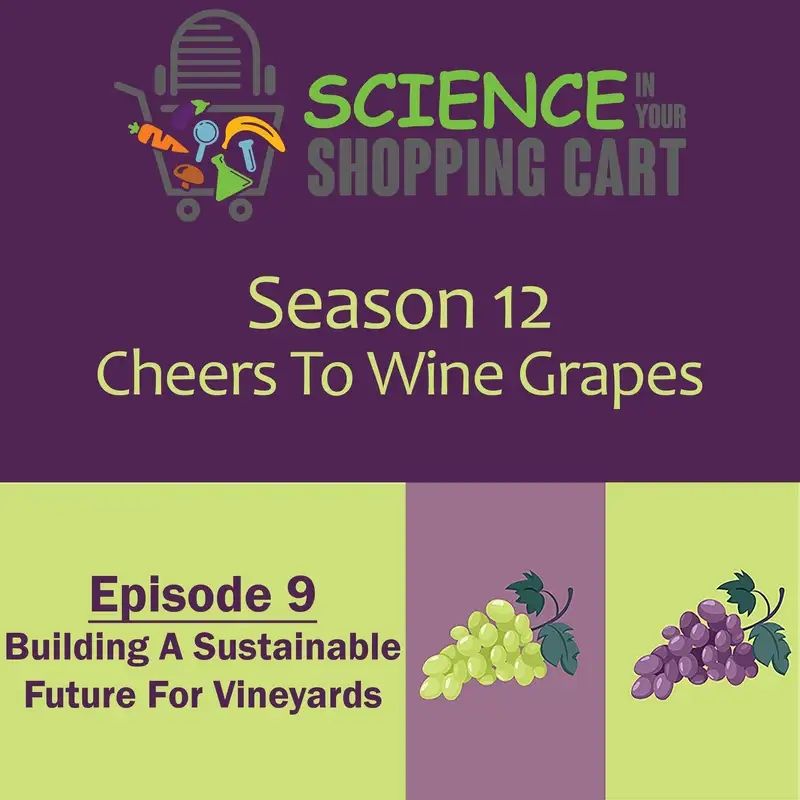 Season 12: Cheers To Wine Grapes | Episode 9: Building A Sustainable Future For Vineyards