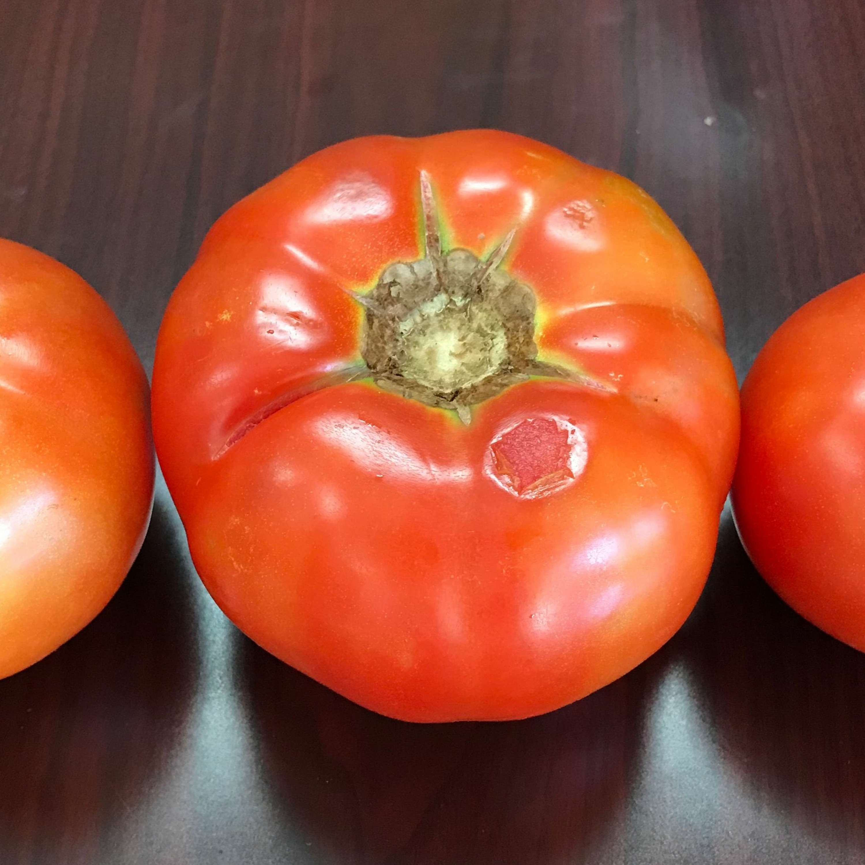 Arkansas AgCast