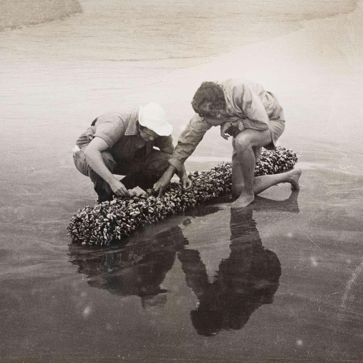 A Pioneering Zoologist: Elizabeth Carrington Pope